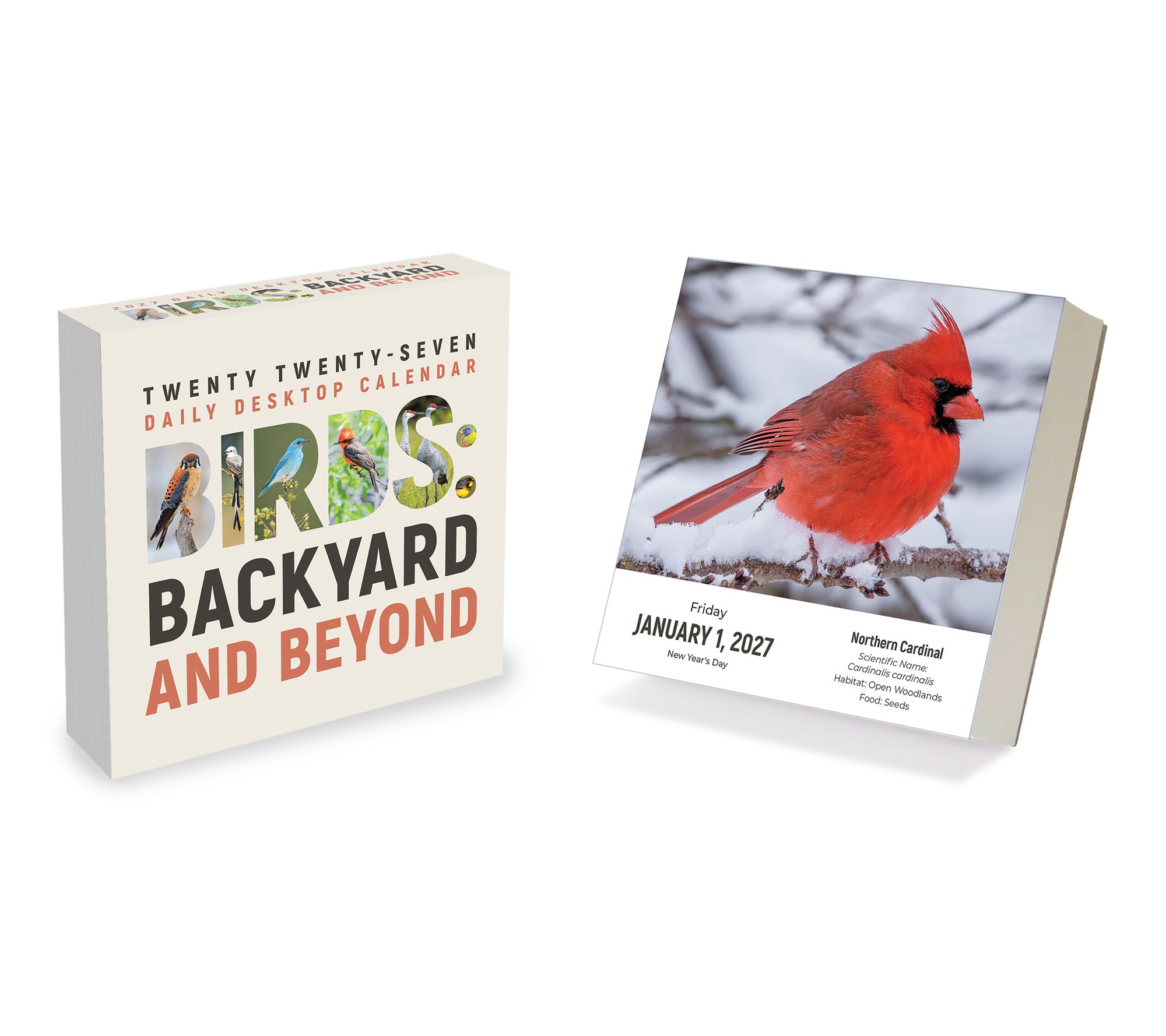 2027 Birds: Backyard & Beyond Daily Desktop Calendar