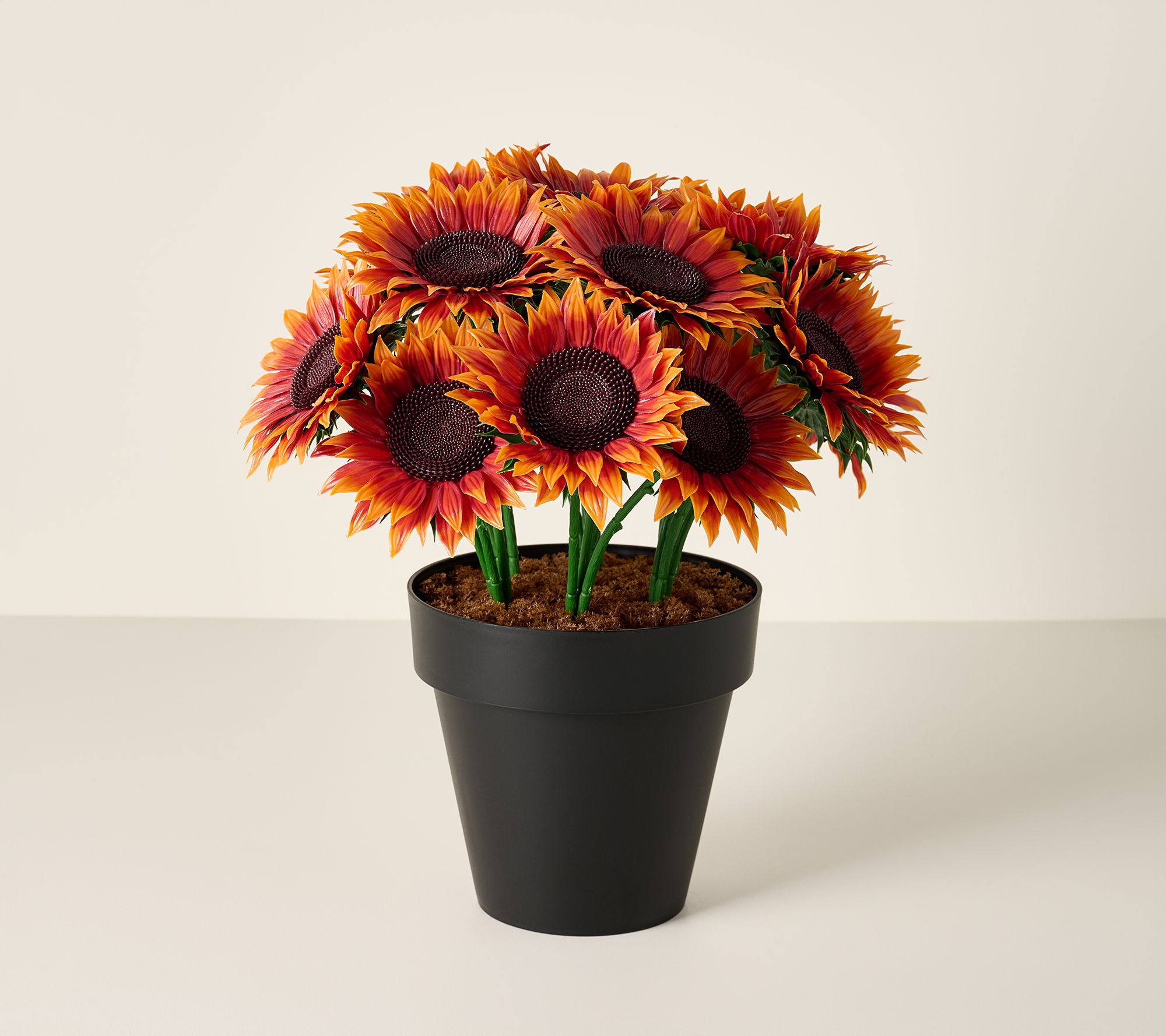 Wicker Park 17" Jumbo Bloom Potted Sunflower Arrangement
