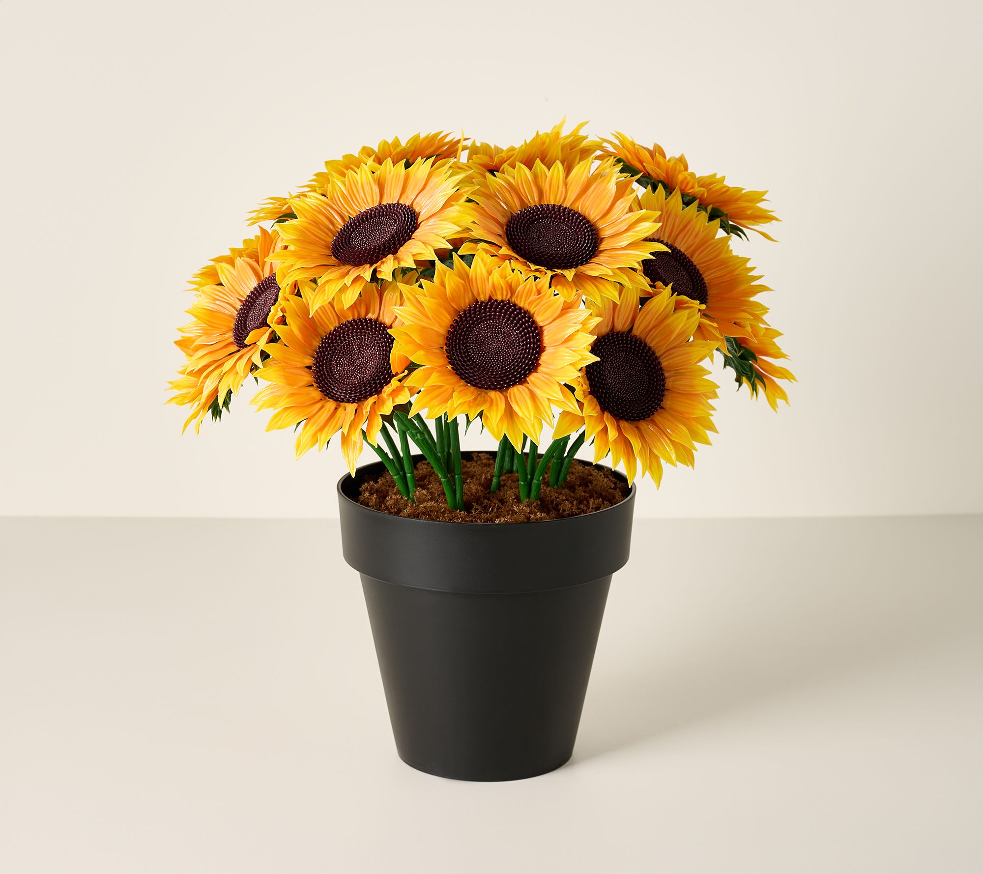 Wicker Park 17" Jumbo Bloom Potted Sunflower Arrangement