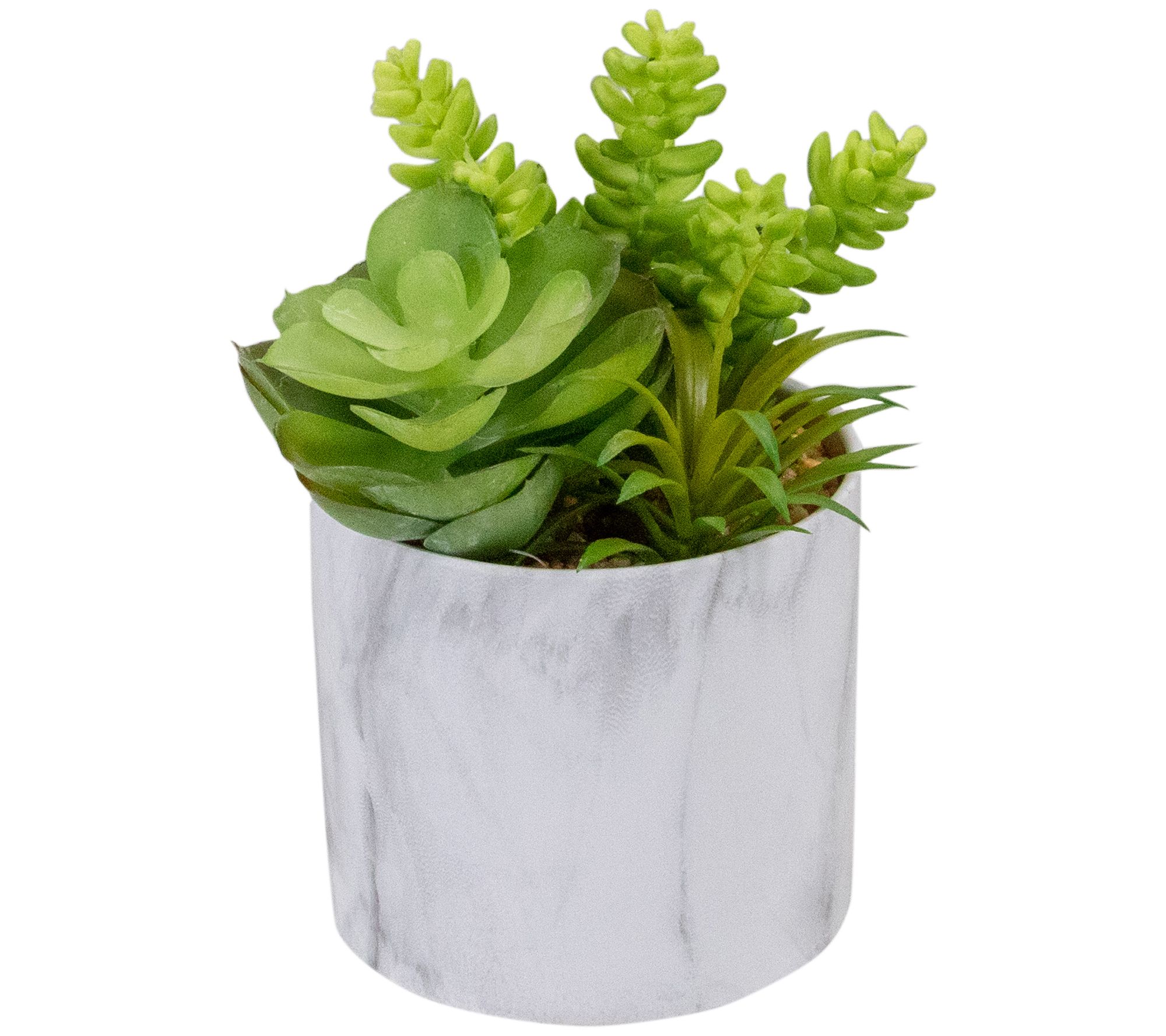Northlight 6.5" Artificial Succulents in Faux Marble Pot