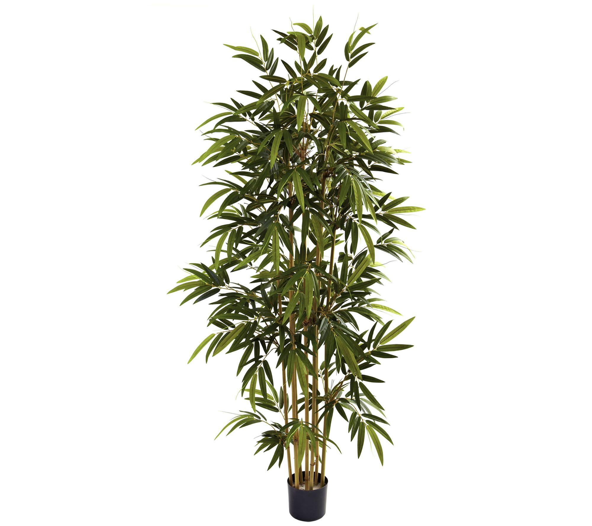 6' Bamboo Tree by Nearly Natural - QVC.com