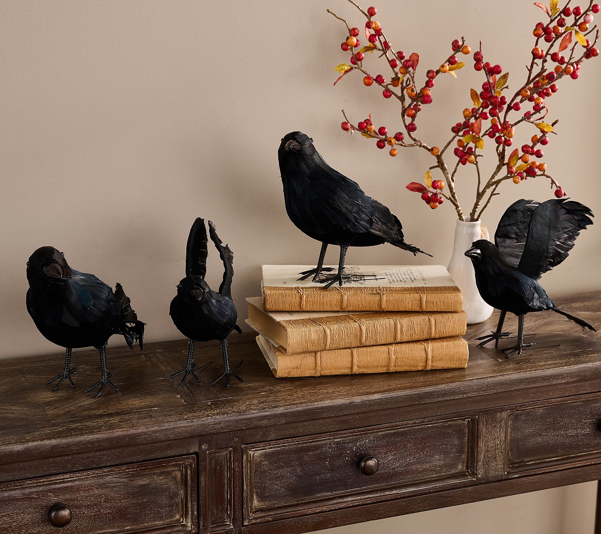 Simply Stunning set of 4 Decorative Ravens by Janine Graff
