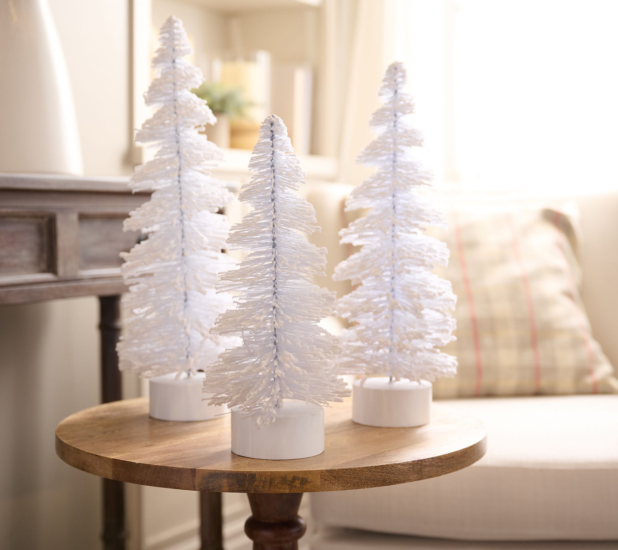 Set of 3 Bottlebrush Trees with Wood Base by Valerie