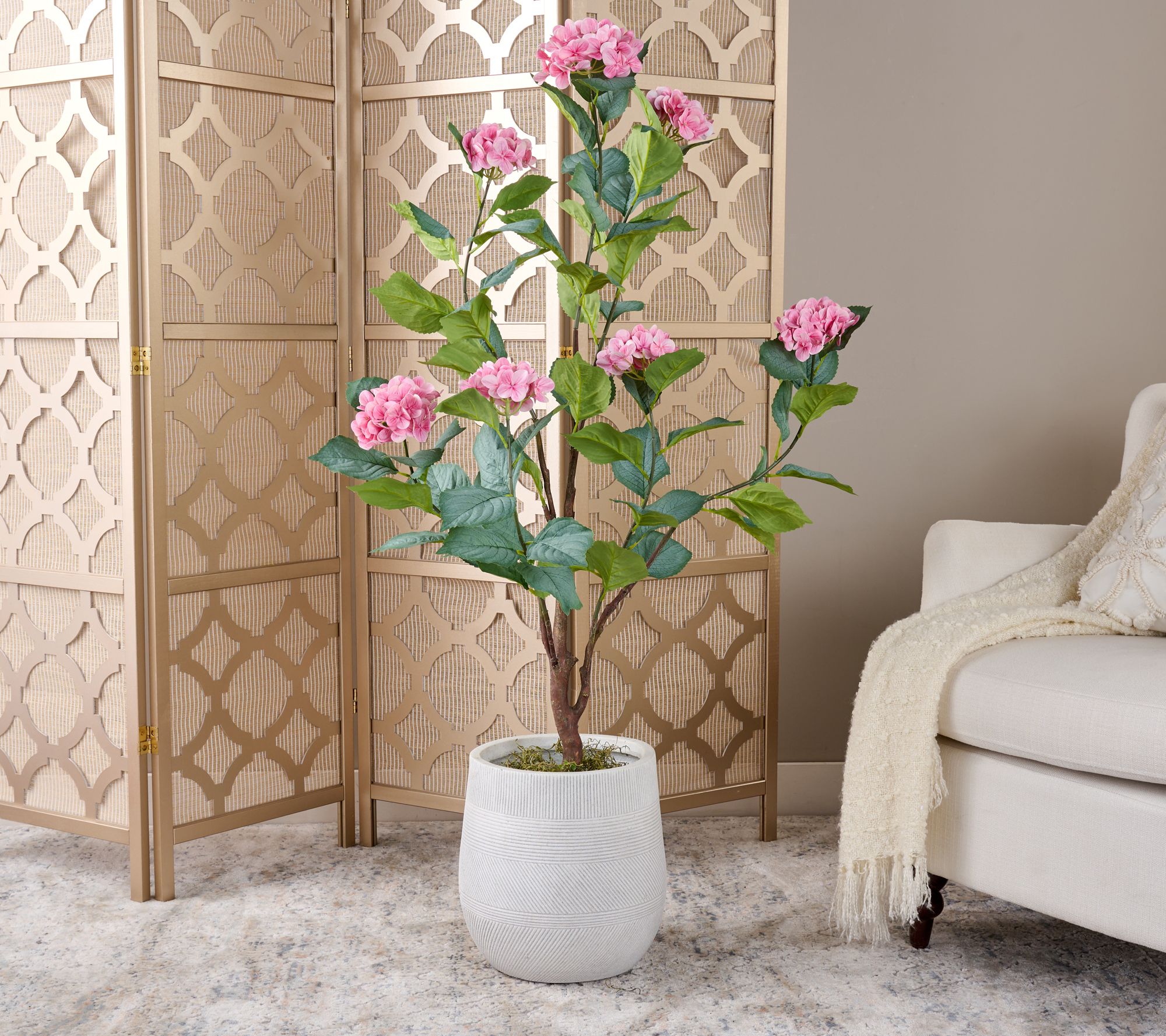 "As Is" 4' Hydrangea Bush in Pot by Valerie