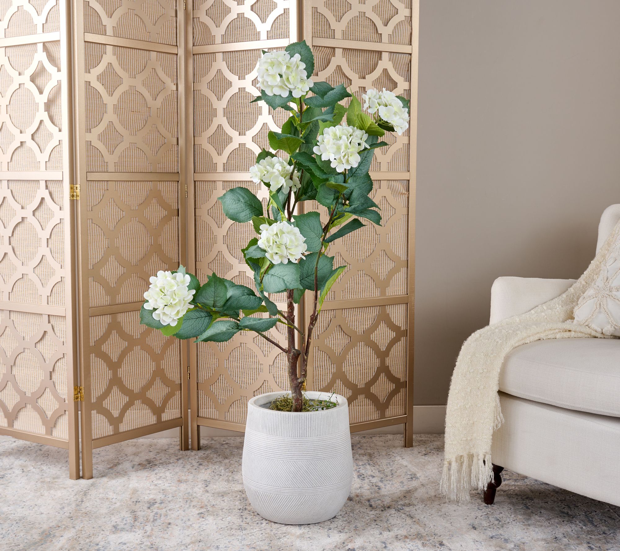 "As Is" 4' Hydrangea Bush in Pot by Valerie