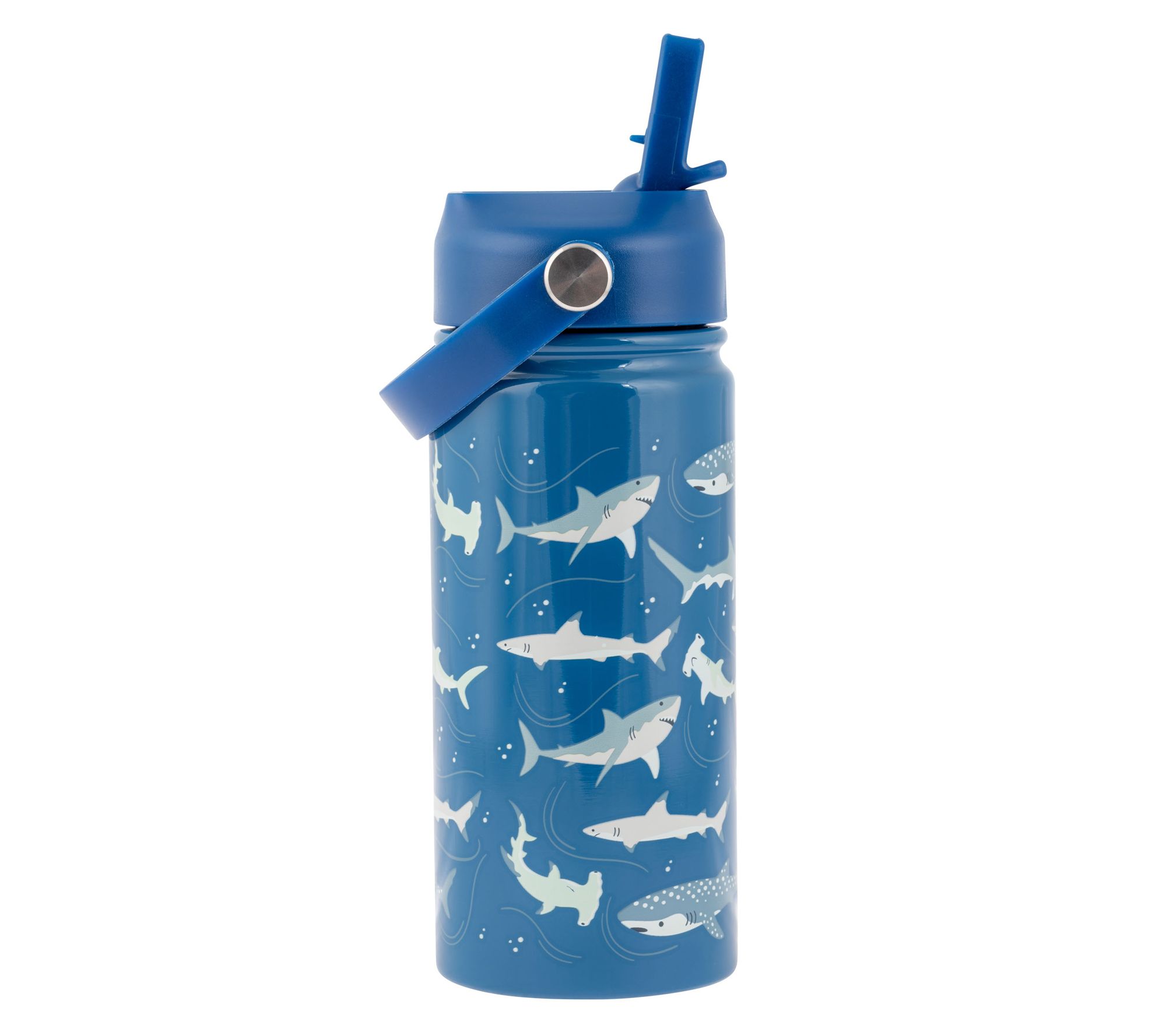 Stephen Joseph Kids Stainless Steel Water Bottle with Handle