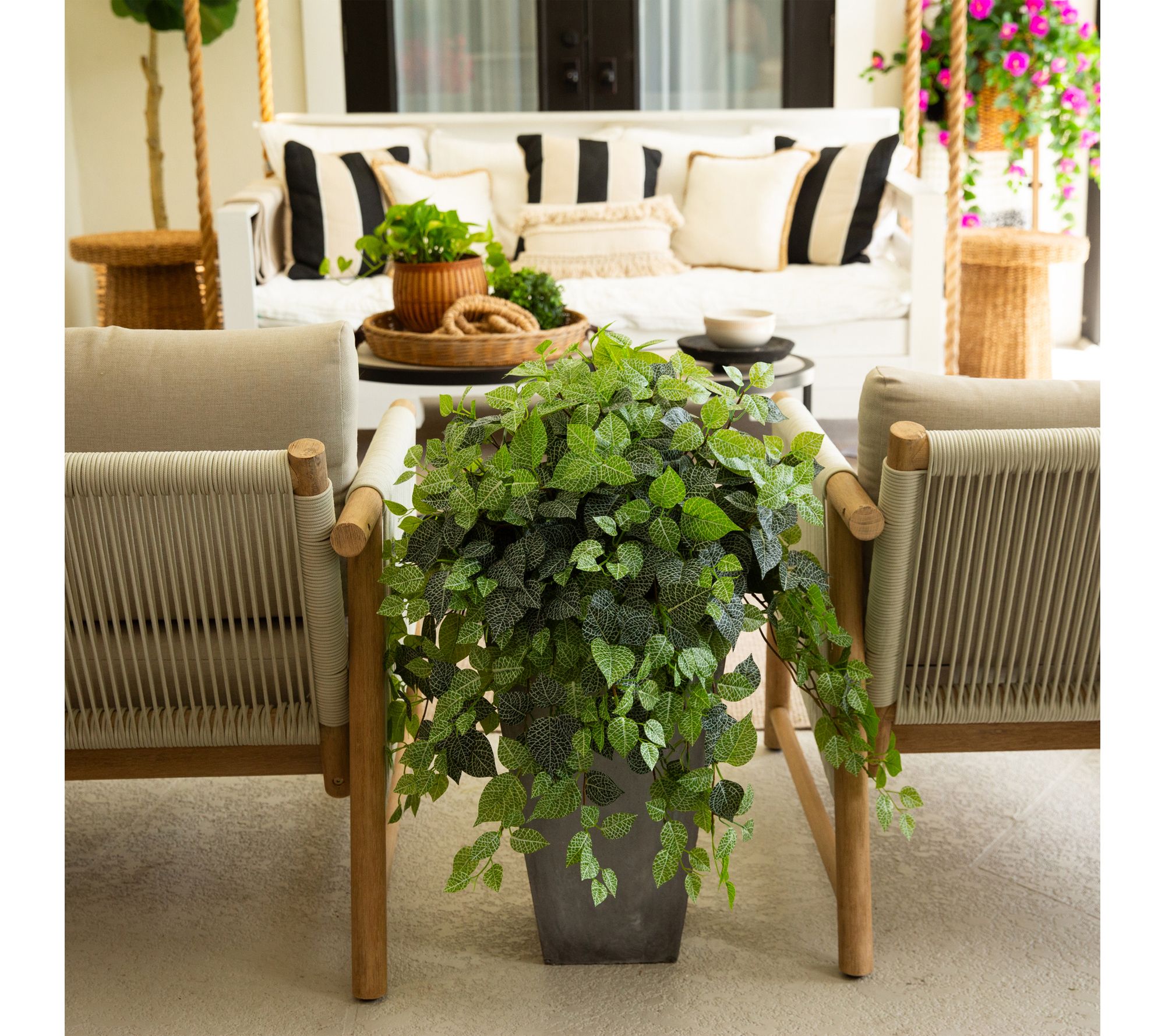 Nearly Natural 24-in UV Resistant Fittonia   -Set of 3