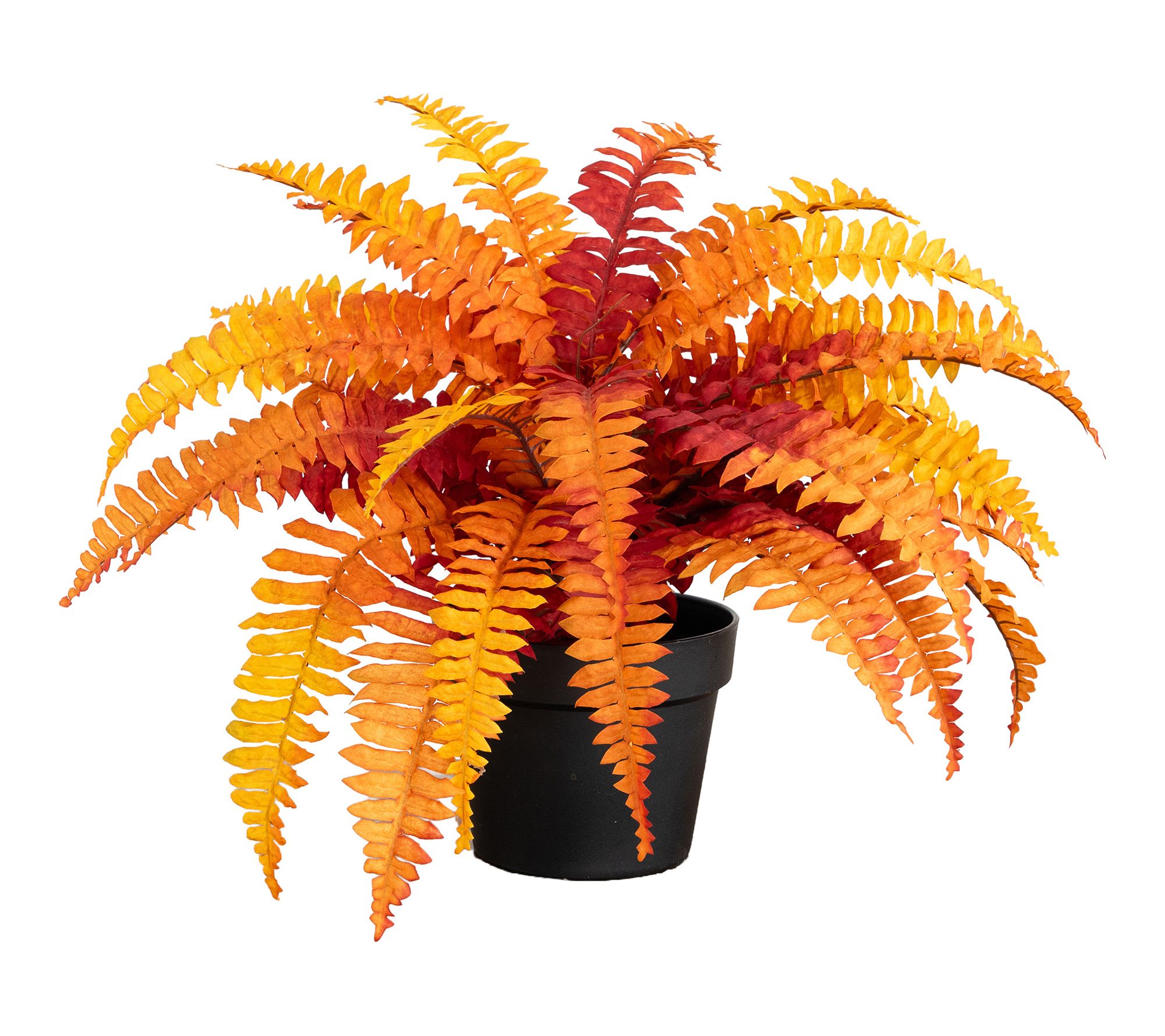 17-in Fall Boston Fern Plant by Nearly Natural