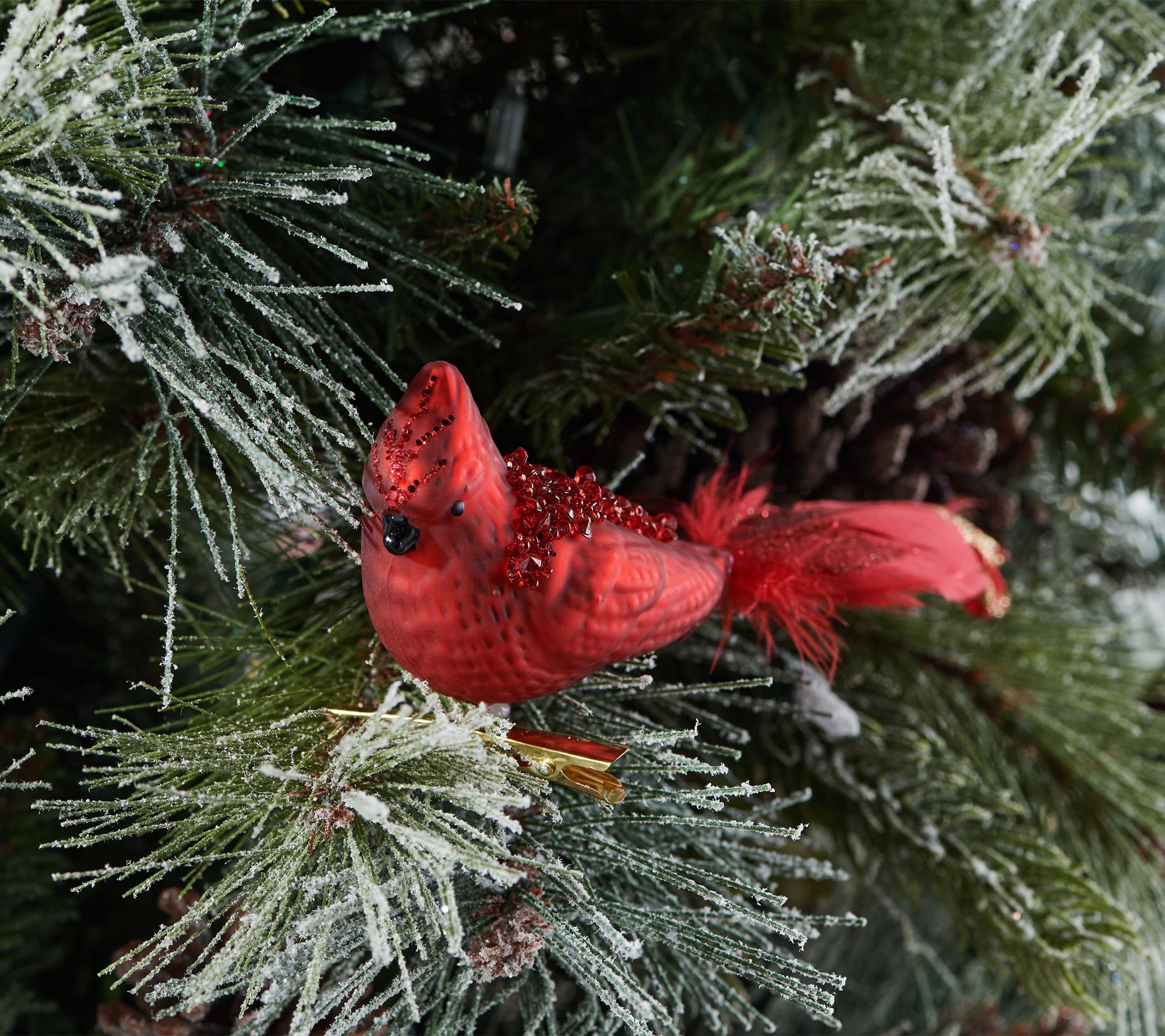 Set of 6 Bird Clips with Feather Tail by Valerie - QVC.com