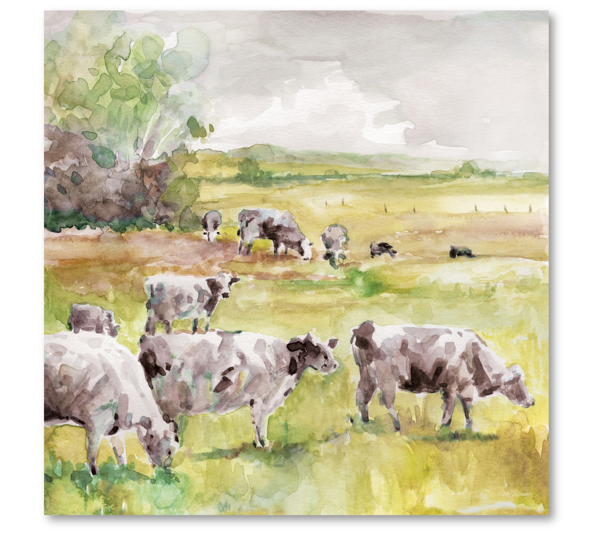 Courtside Market Spring Herd 16x16 Canvas WallArt