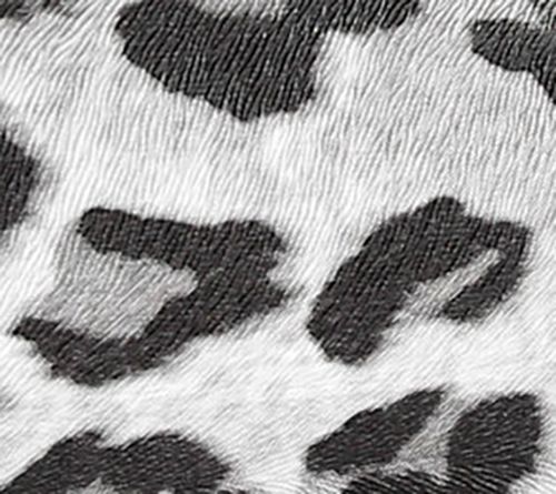 Snow Leopard