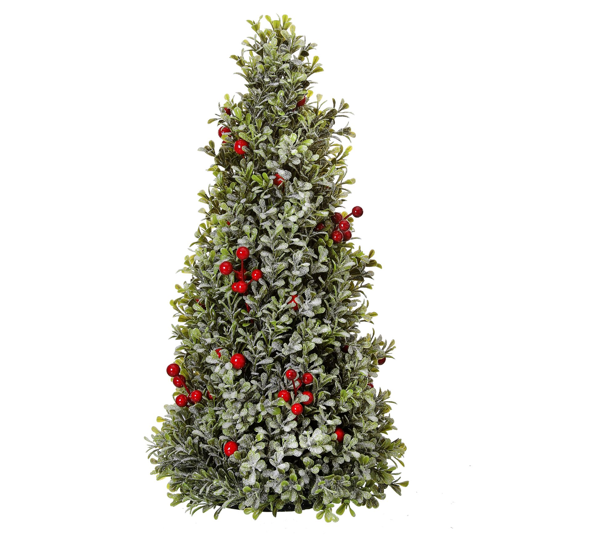 18" Red Berry Frosted Boxwood Cone Tree by Valerie