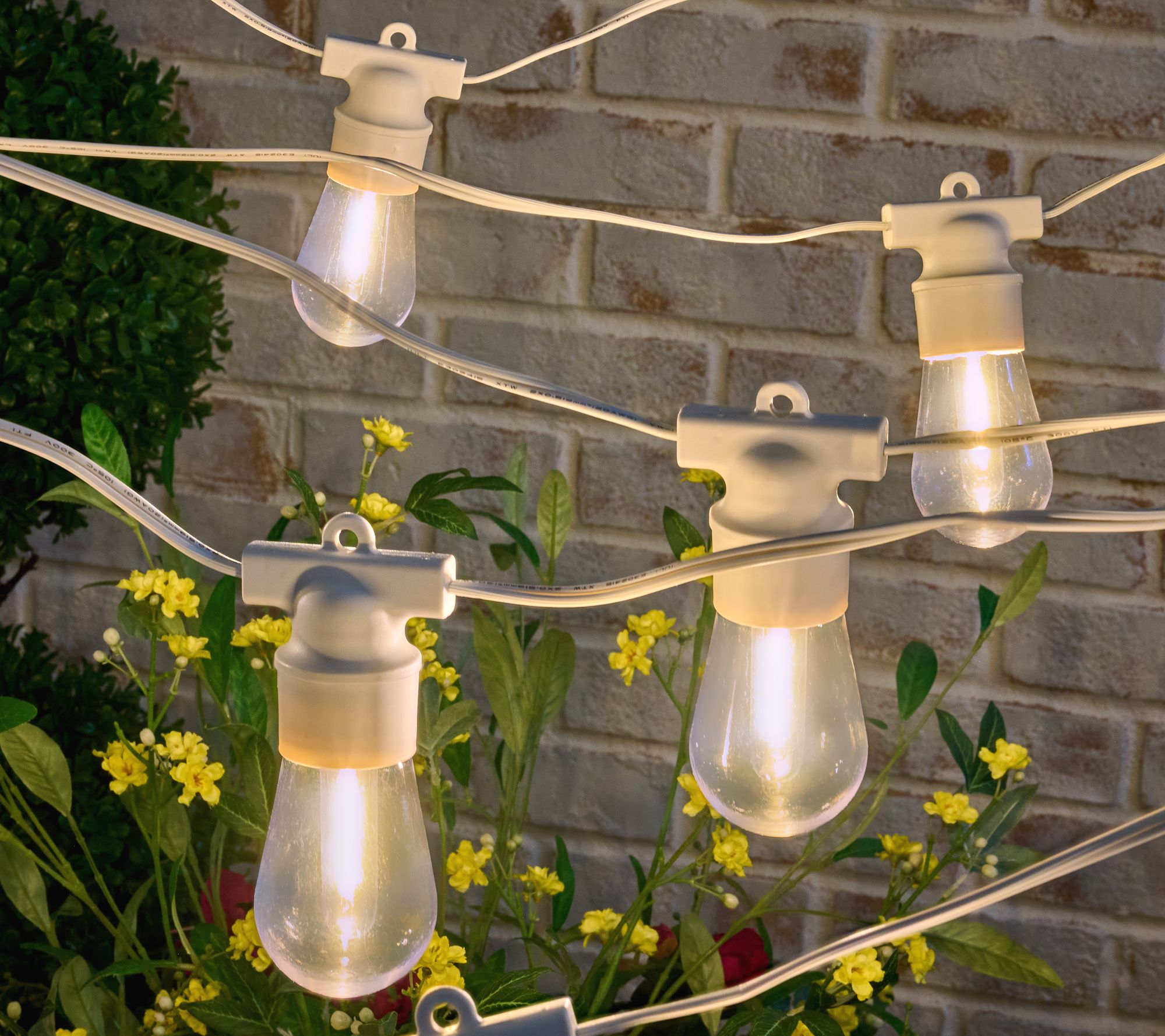 Bethlehem Lights 20' Deluxe Plug-In Patio Lights