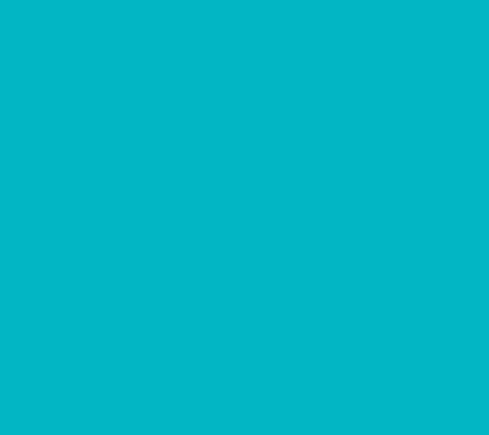 TurquoiseFloral