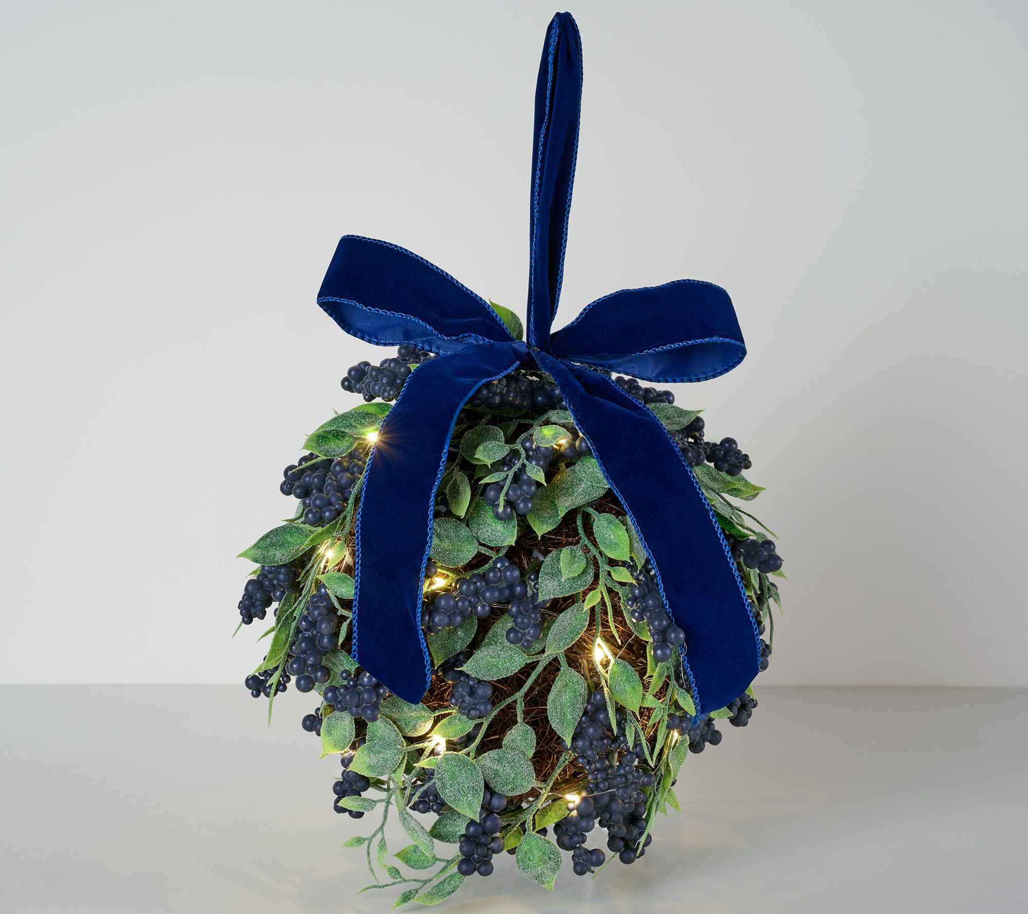 Home Reflections 10" Lit Berry Kissing Ball