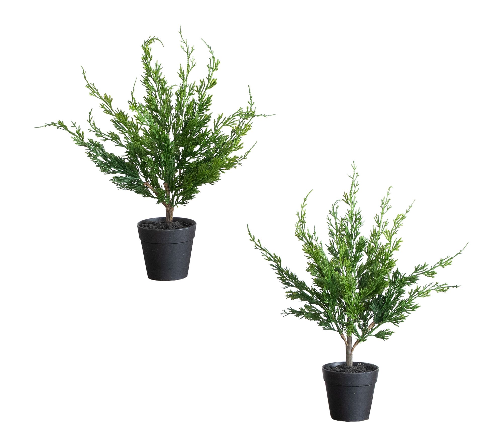 18-in Mini Cypress Tree - Set of 2 by Nearly Natural
