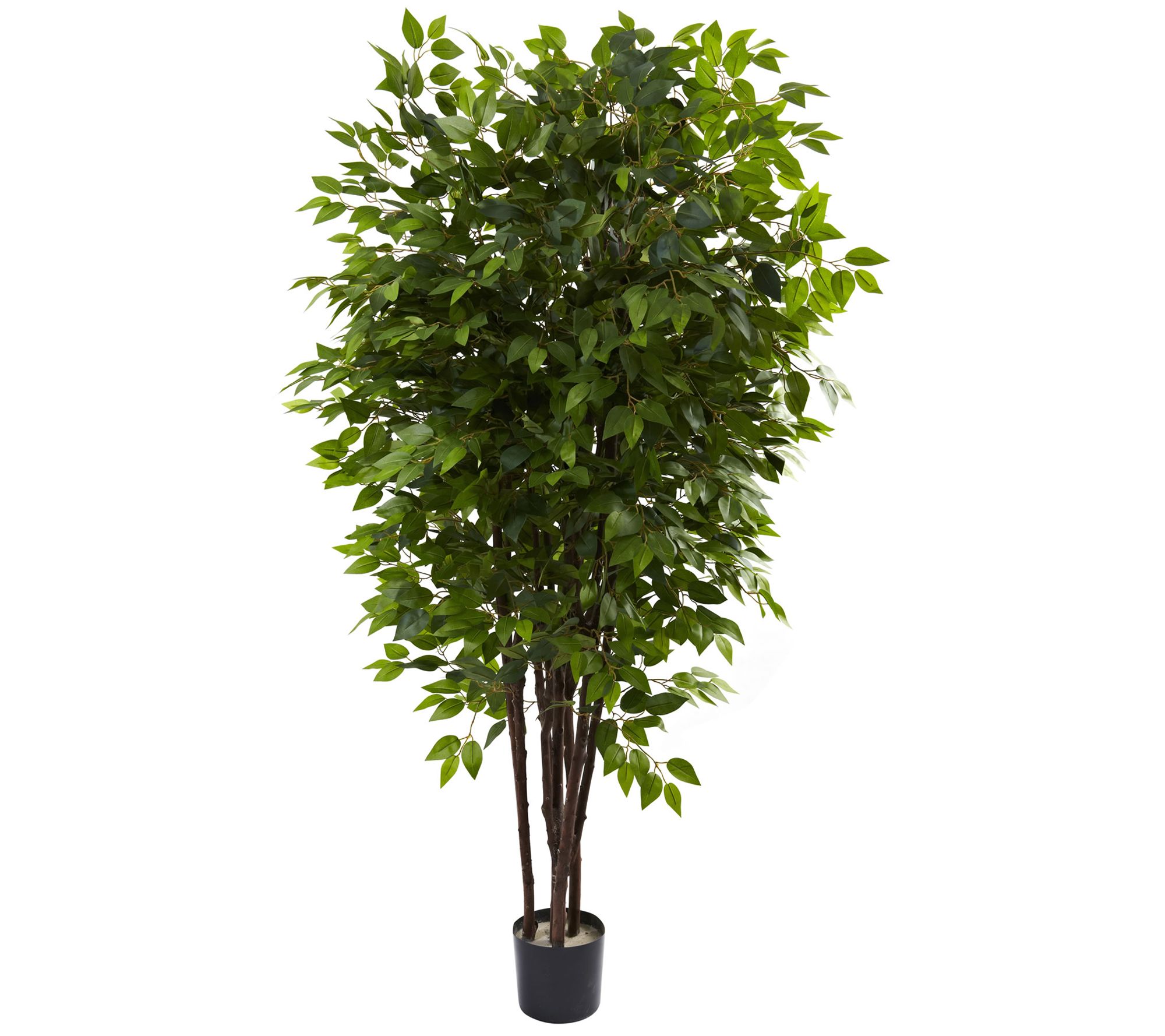 6.5' Deluxe Ficus Tree by Nearly Natural - QVC.com