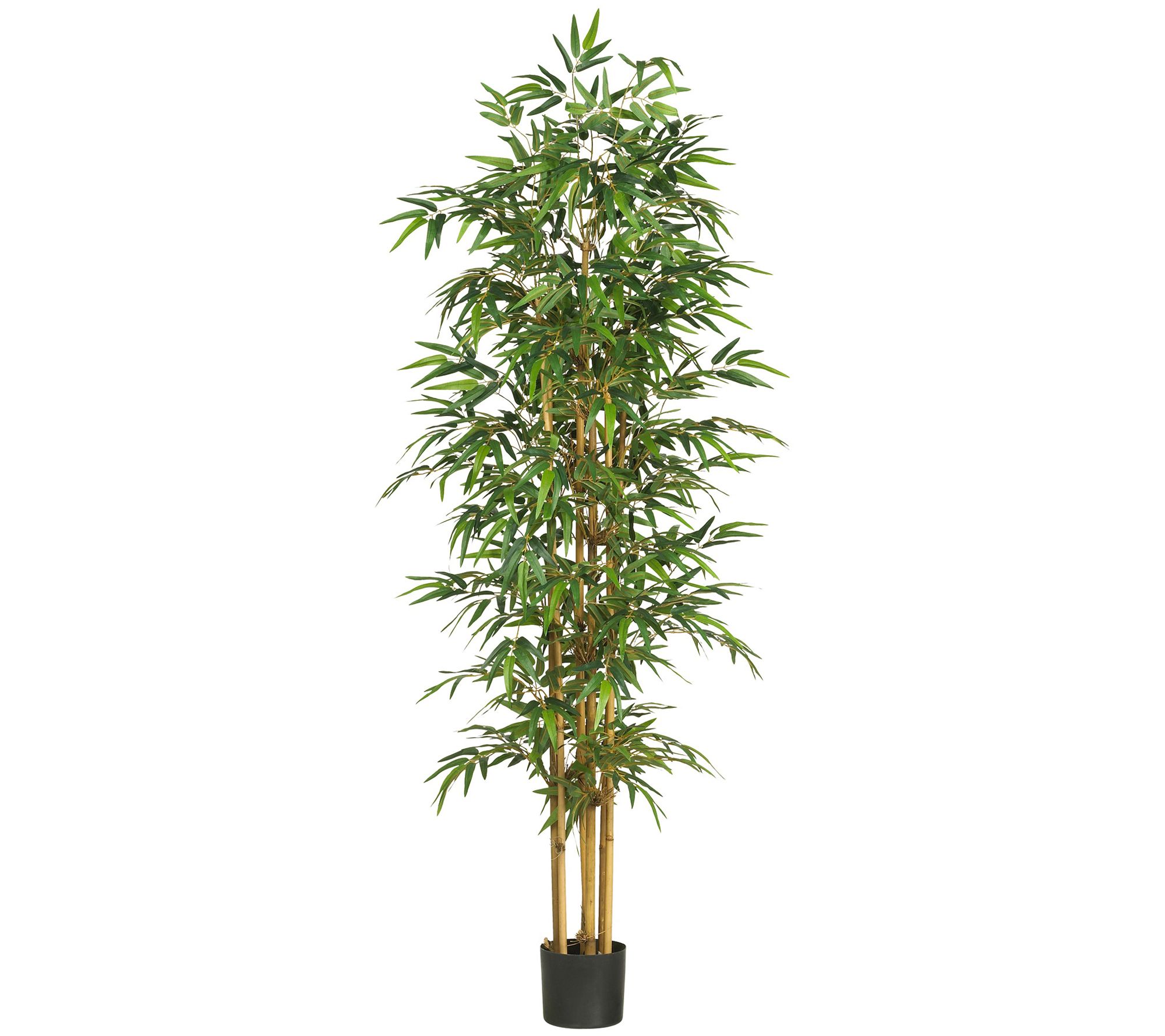 75" Bamboo Tree by Nearly Natural