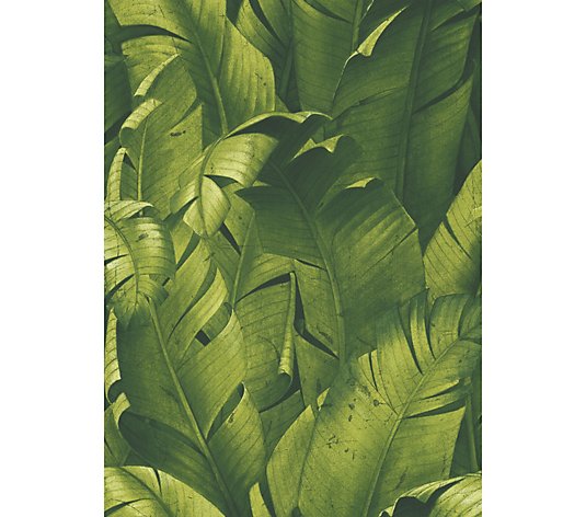 NextWall Tropical Banana Leaves Peel and StickWallpaper Roll