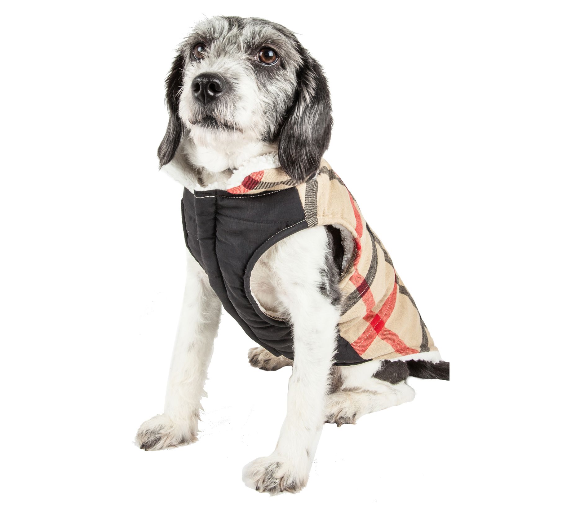 Pet Life 'Allegiance' Plaided Insulated Dog CoaJacket