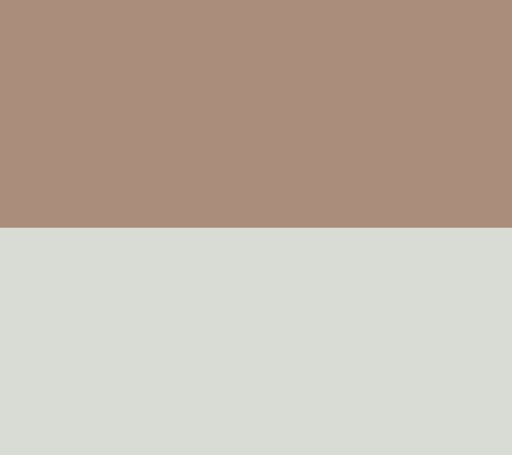 Mocha Check