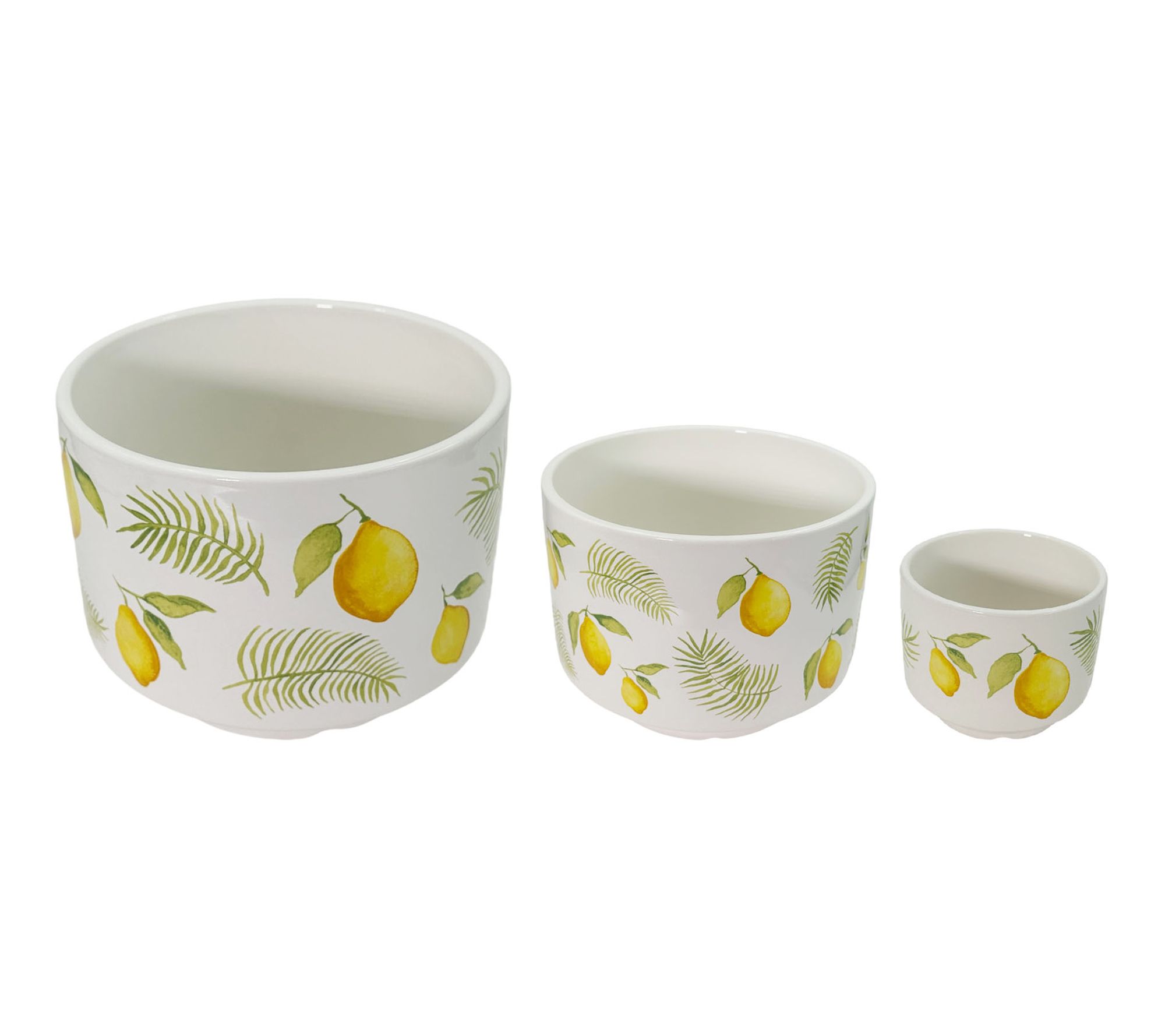 Temp-tations Seasonal Set of 3 Footed Herb Planters