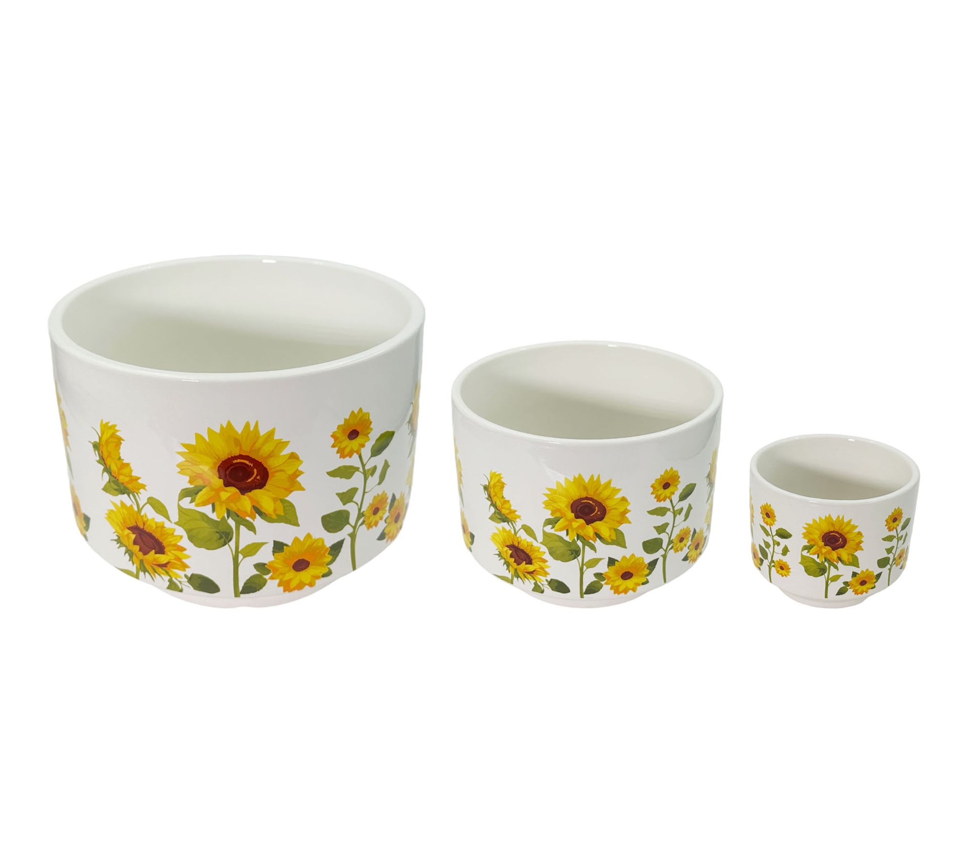 Temp-tations Seasonal Set of 3 Footed Herb Planters