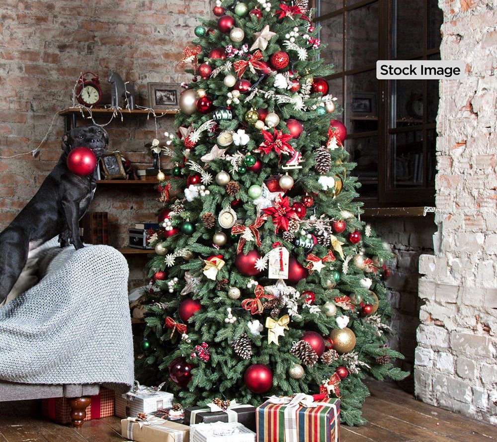 Cottage Farms Fresh Cut Fraser Fir Christmas Tree Christmas Tree