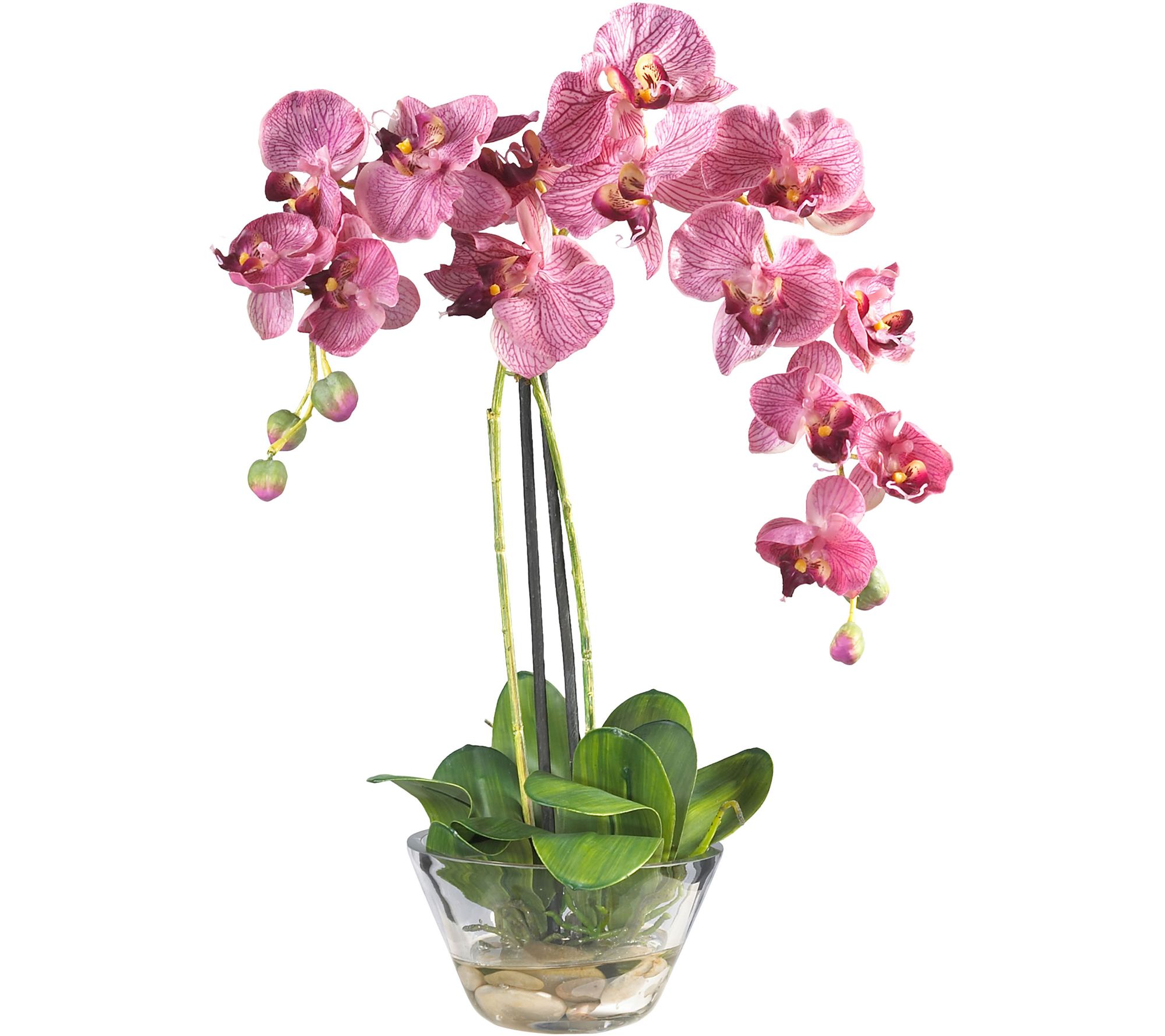 18" Phalaenopsis in Glass Vase by Nearly Natural