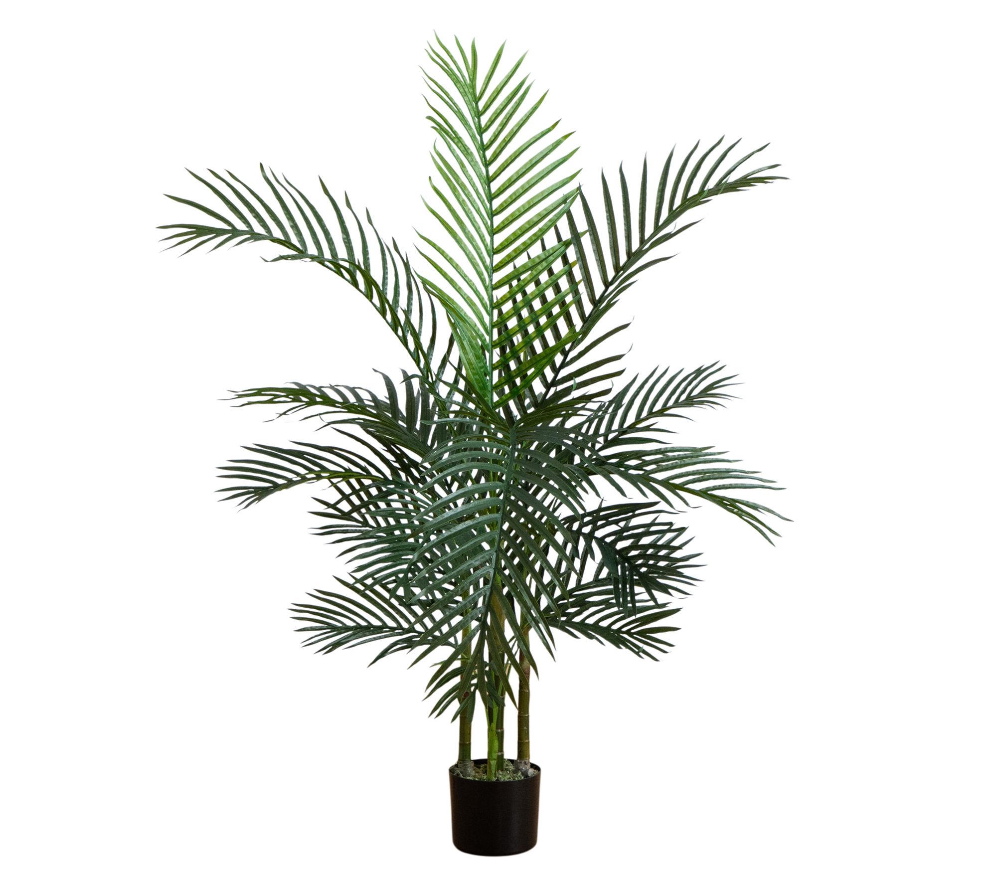 Nearly Natural 4' UV Resistant   Palm Tree (Indoor/Outdoor)