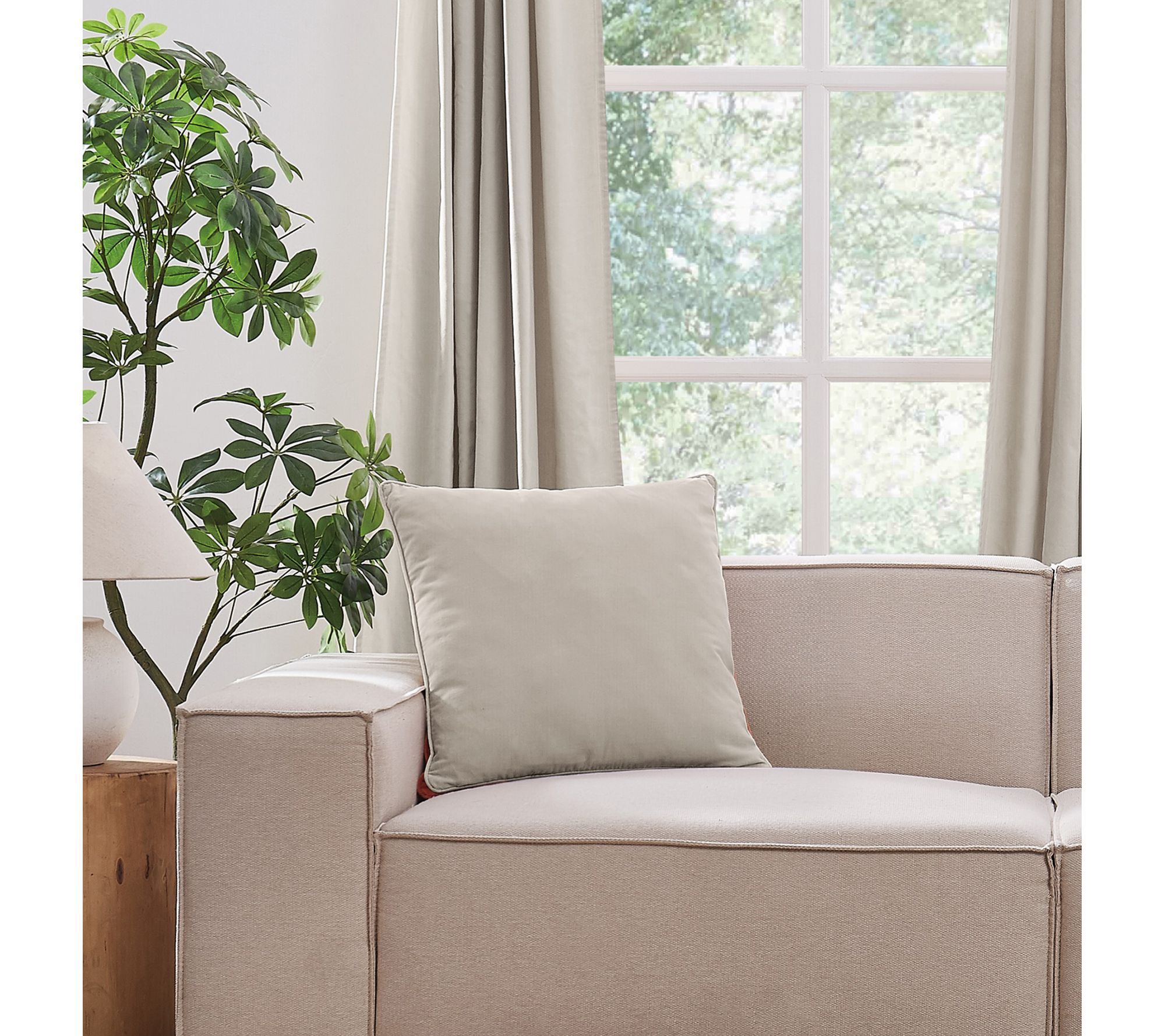 Brooklyn Loom Matte Cotton Velvet 20x20 Decorative Pillow