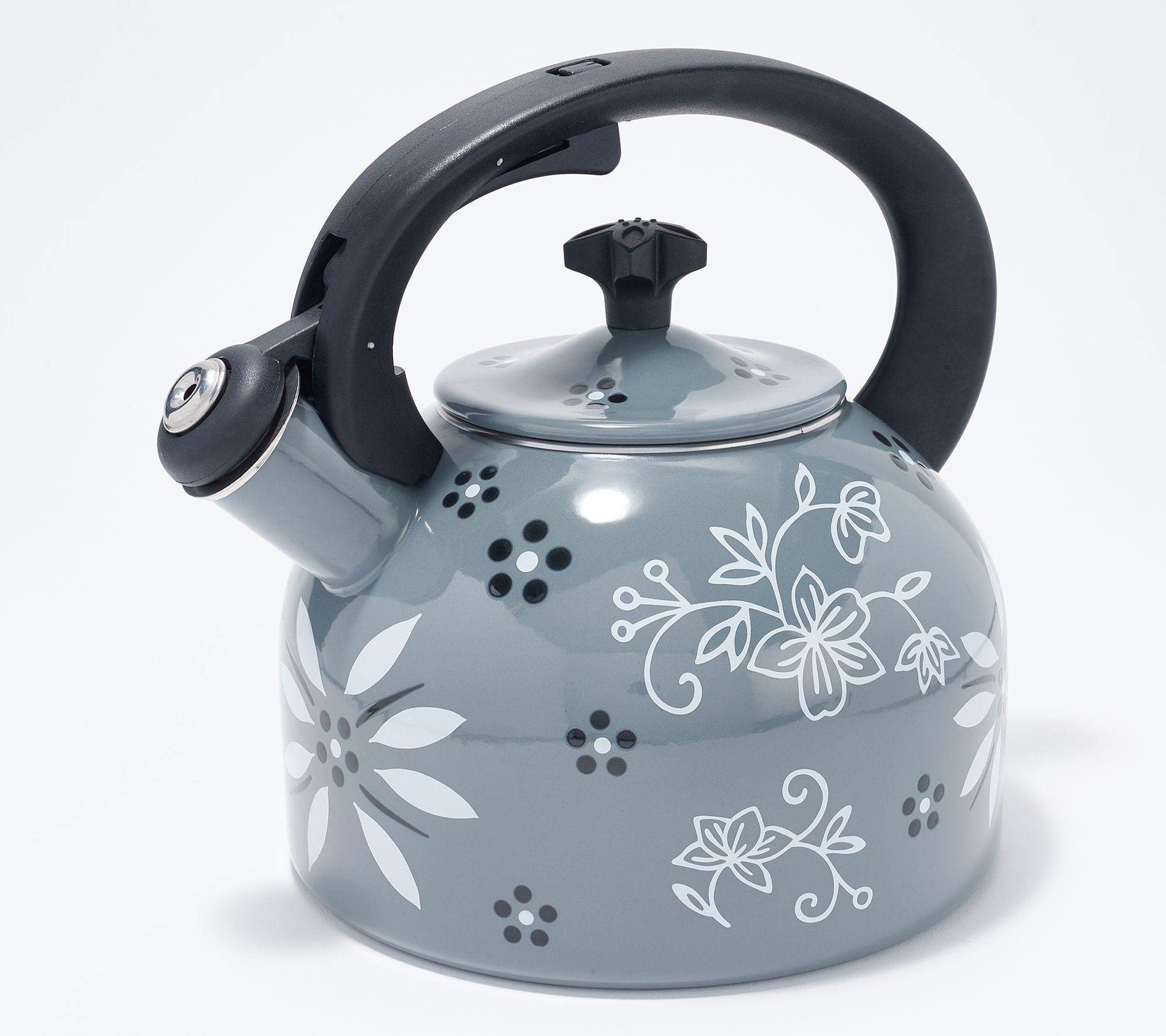 Alright tea addicts, what's your dream kettle? Looking for temp