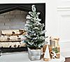 30" Frosted Cedar & Pinecone Tree in Pot by Valerie