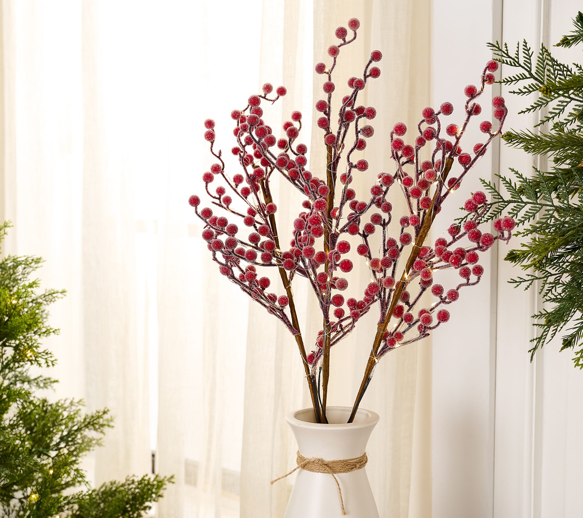 Set of 3 30" Illuminated Sugared Berry Branches by Valerie