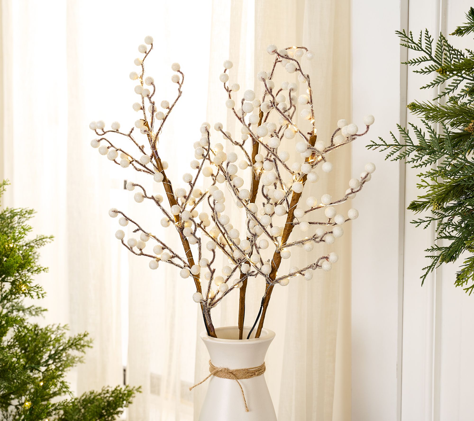 Set of 3 30" Illuminated Sugared Berry Branches by Valerie