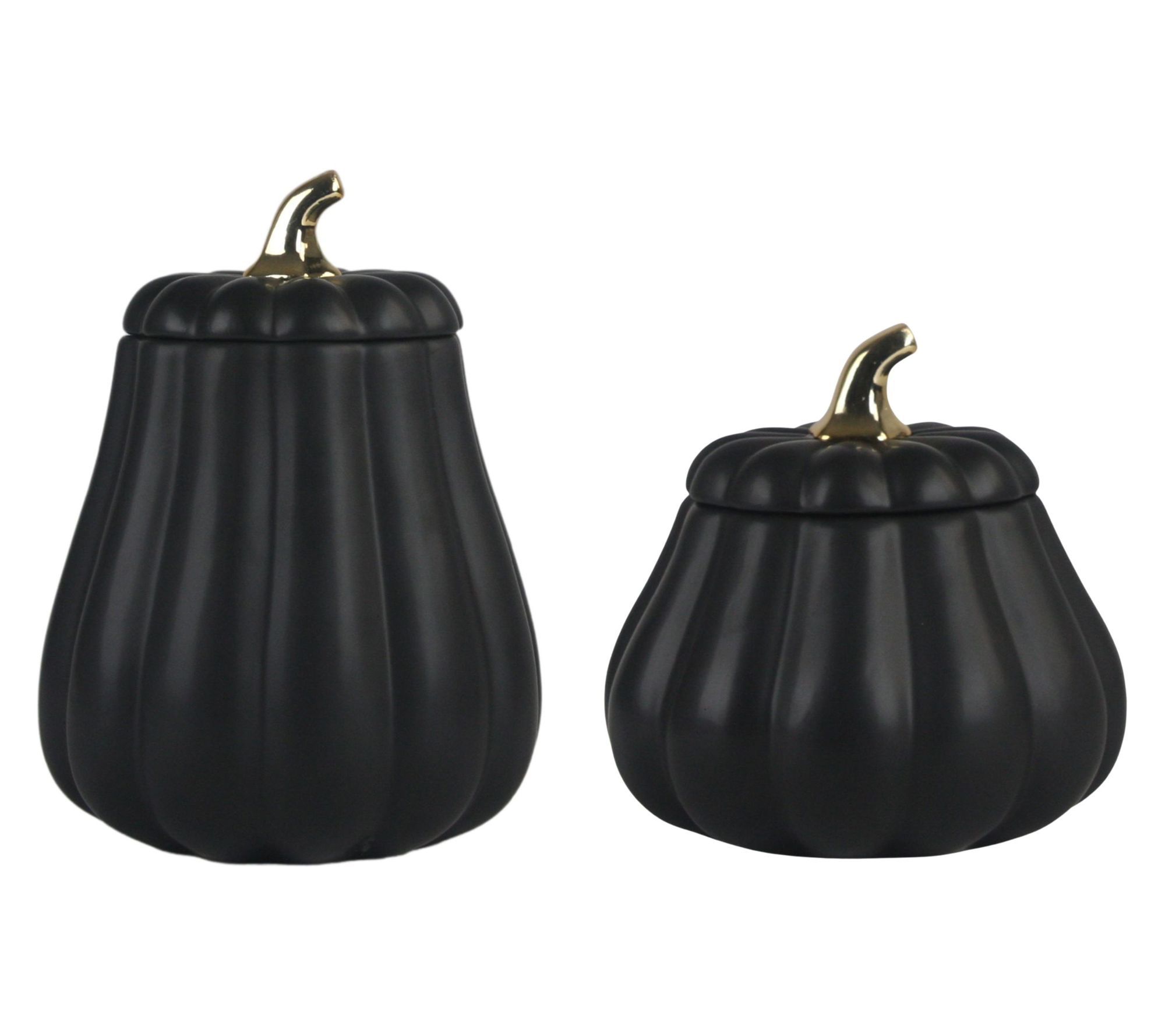 10 Strawberry Street Set of 2 Black Graduated Gourd Canisters