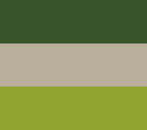 Shamrock