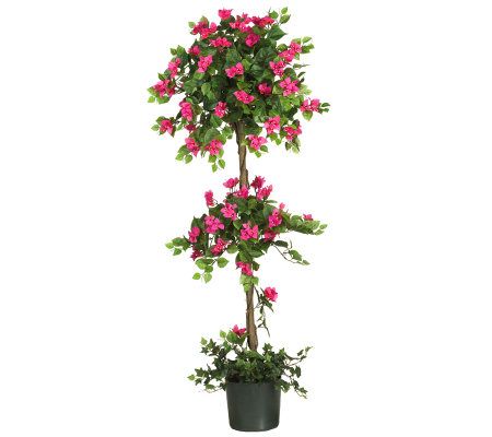 5' Mini Bougainvillea Topiary by Nearly Natural - QVC.com