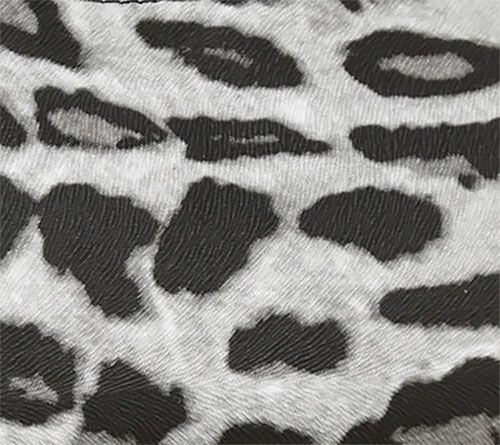 Snow Leopard