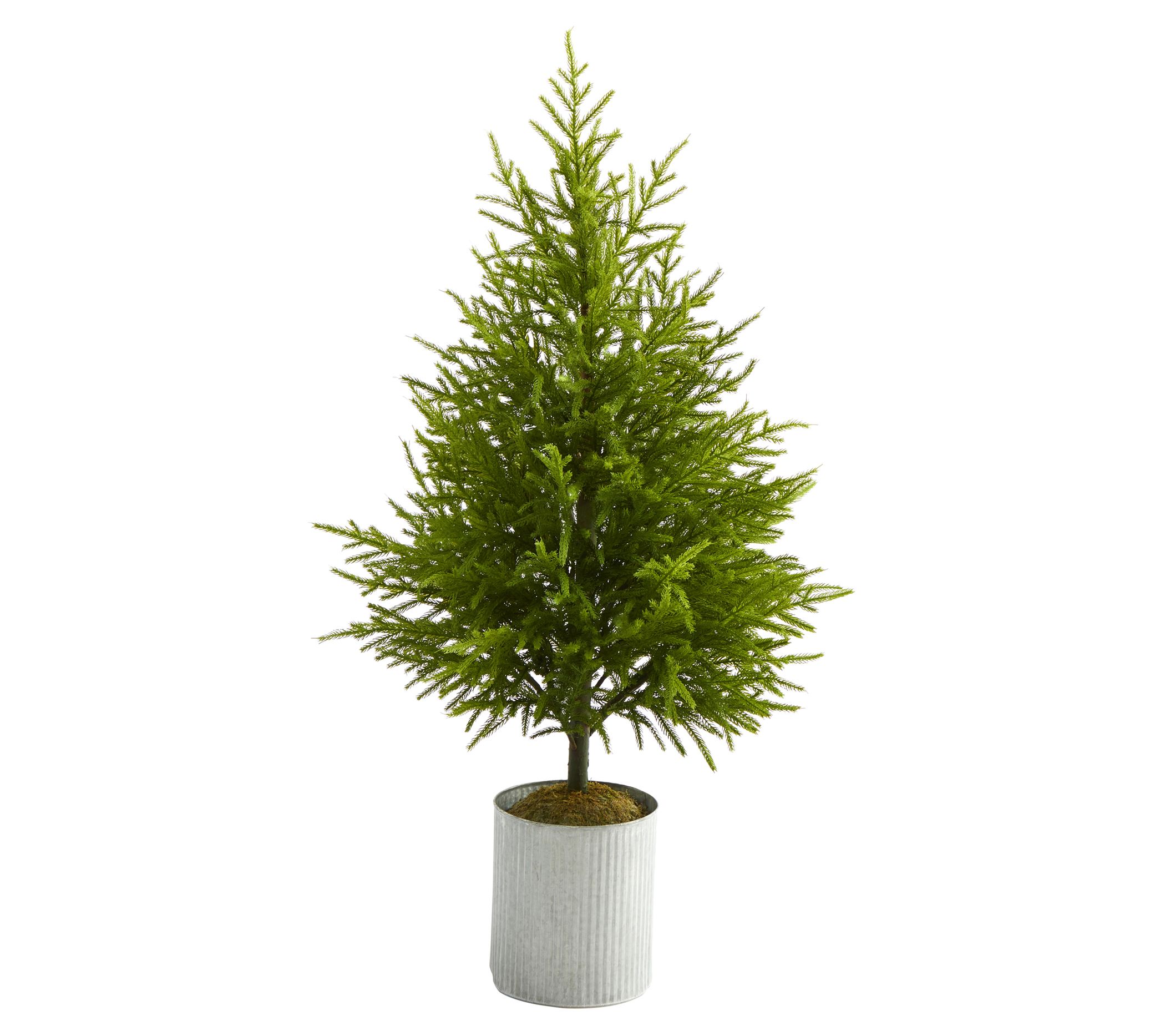 Nearly Natural 49" Norfolk Island Pine Naturalook Tree