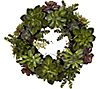 20" Succulent Wreath by Nearly Natural