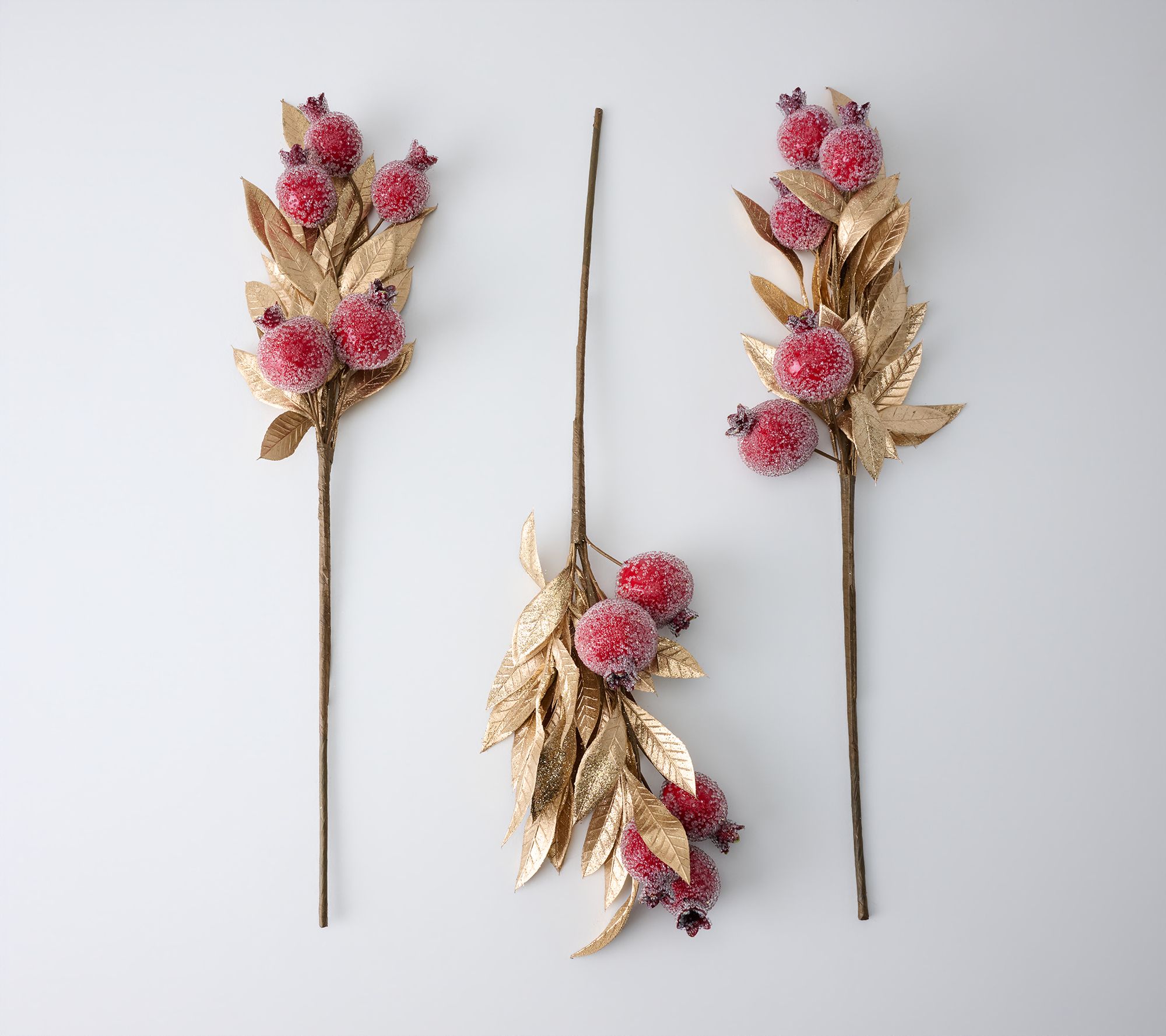 Set of 3 Oversized Sugared Pomegranate Picks by Mally