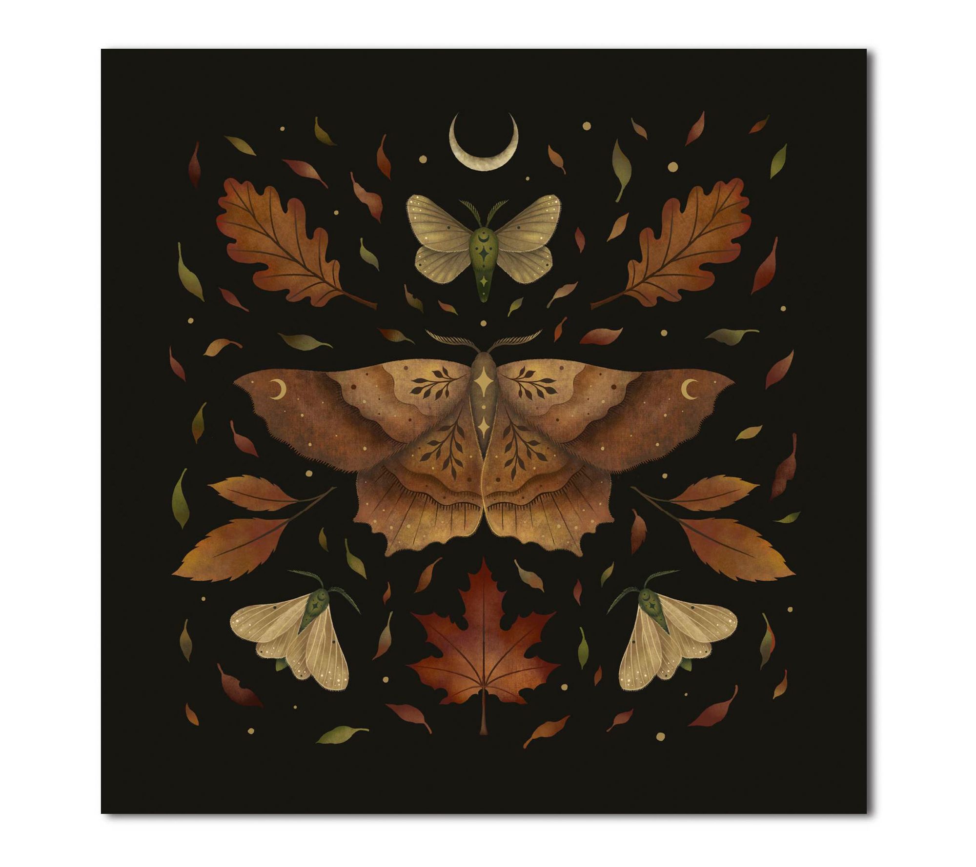 Courtside Market Autumn Moth Gallery-Wrapped Canvas