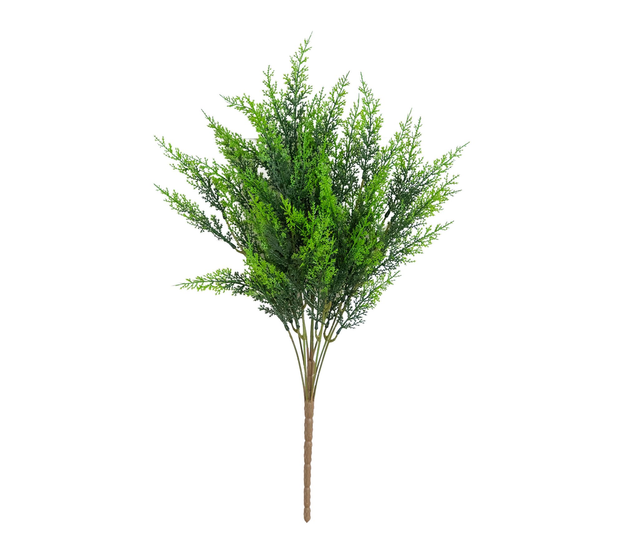 24-in UV Large Cedar Bush Plant - Set of 2 by Nearly Natural