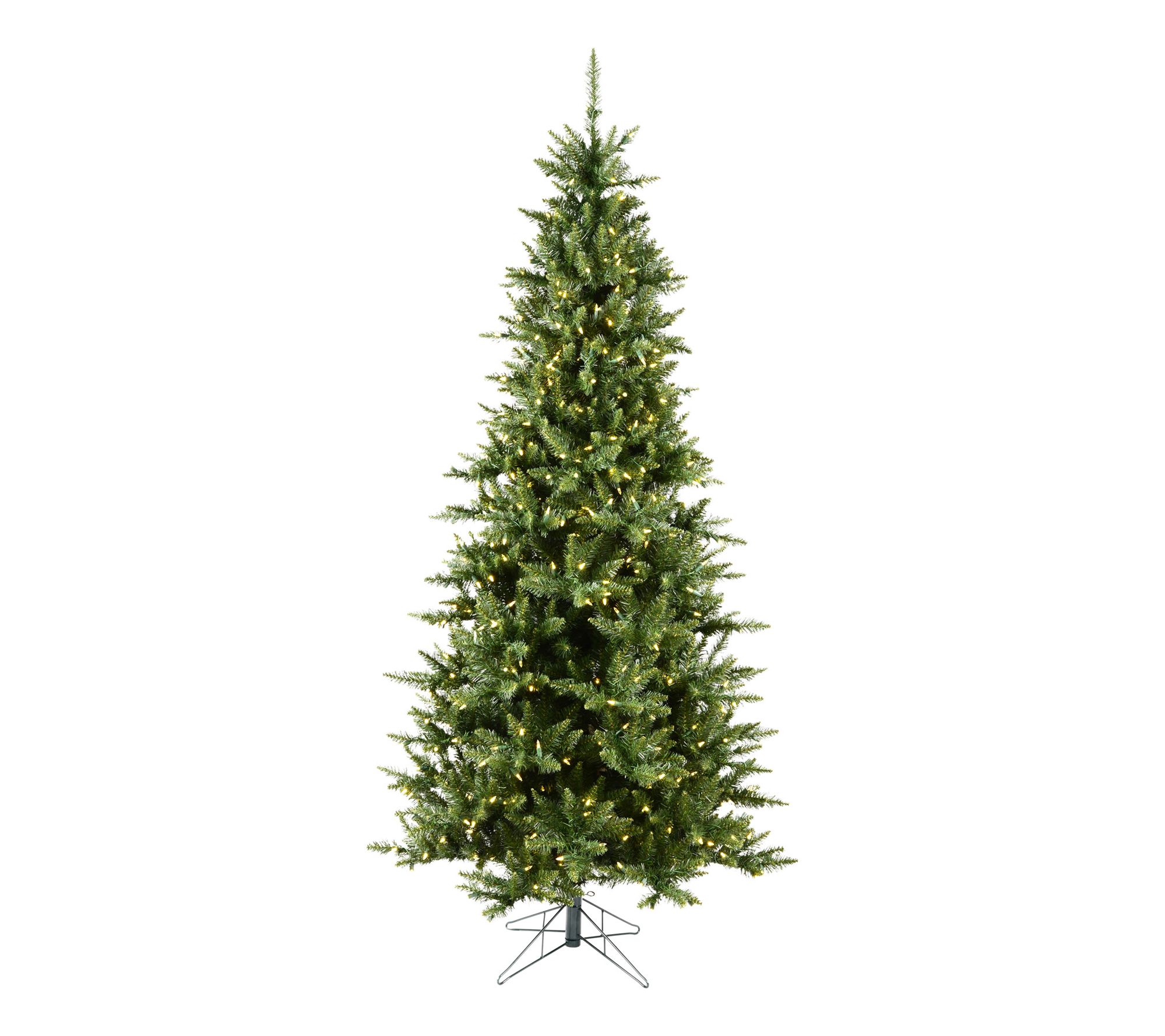 Vickerman 12' x 66" Camdon Fir Slim LED 1800WW