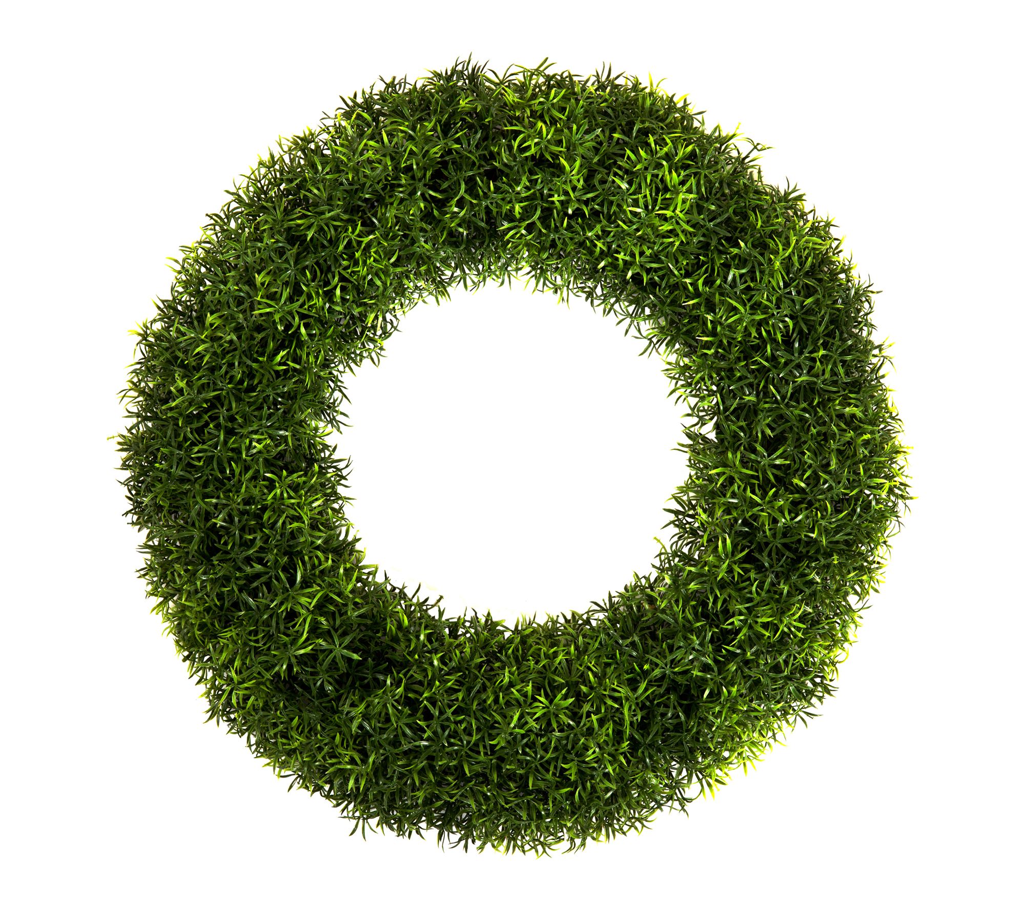 Pure Garden 20" Foxtail Fern Wreath for the Front Door