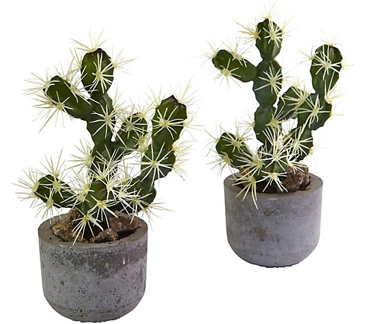 Set of 2 Potted Cacti Arrangements by Nearly Nat ural