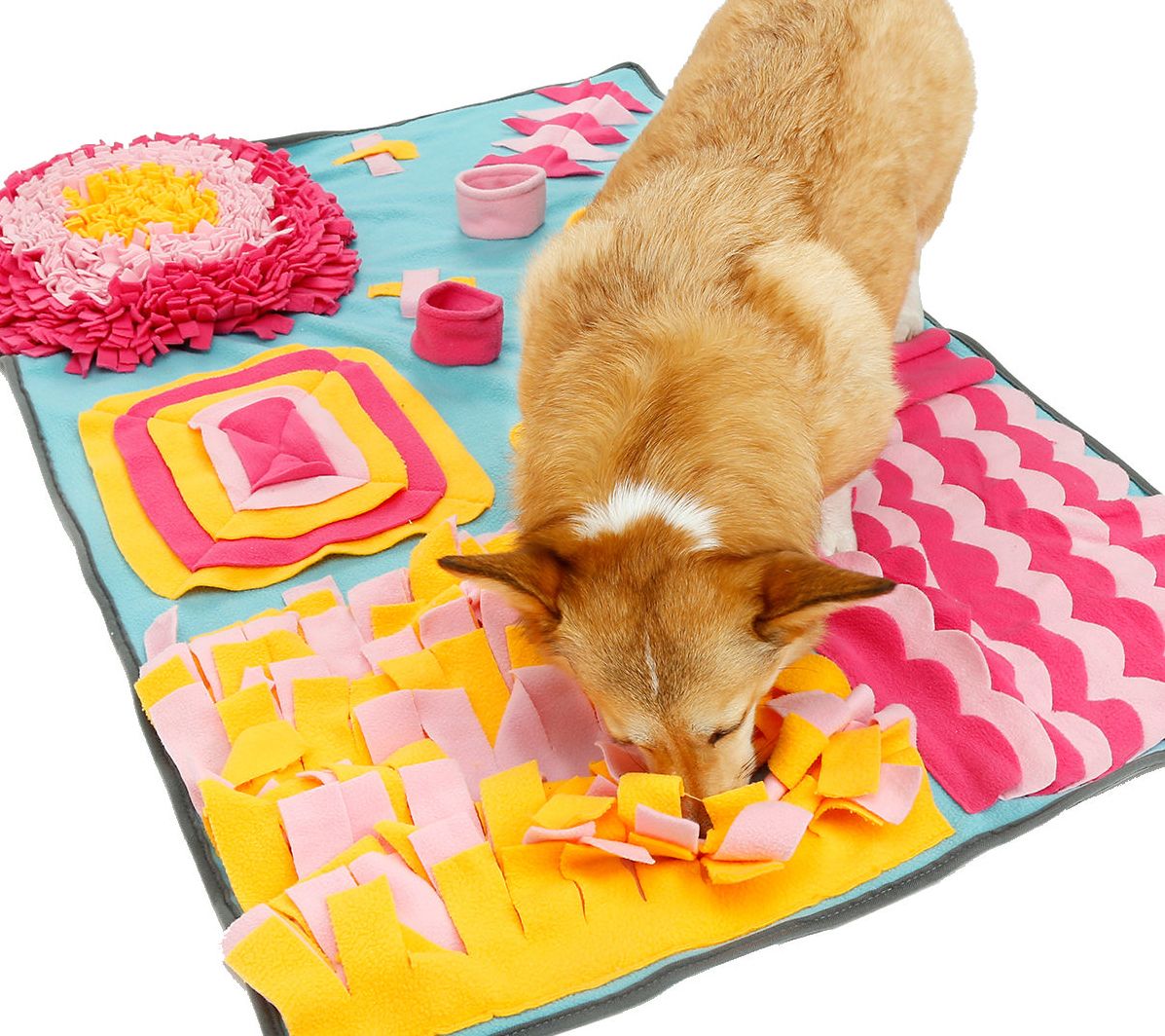 Snuffle Mat - A Dog Trainer's Review