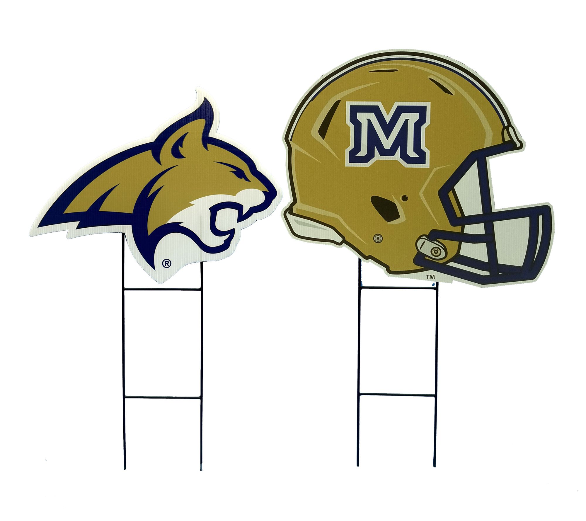 Montana State