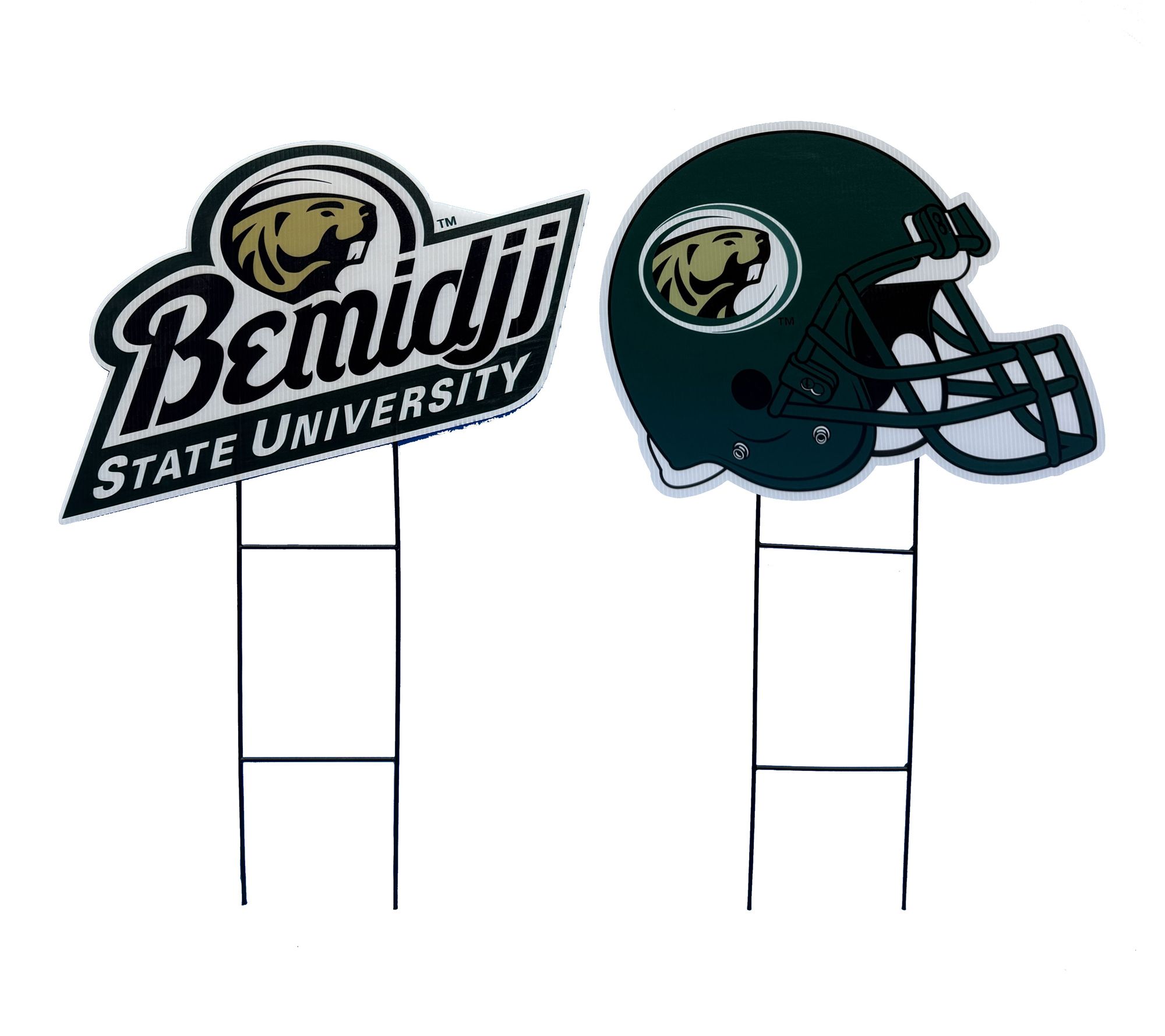 Bemidji St Univ